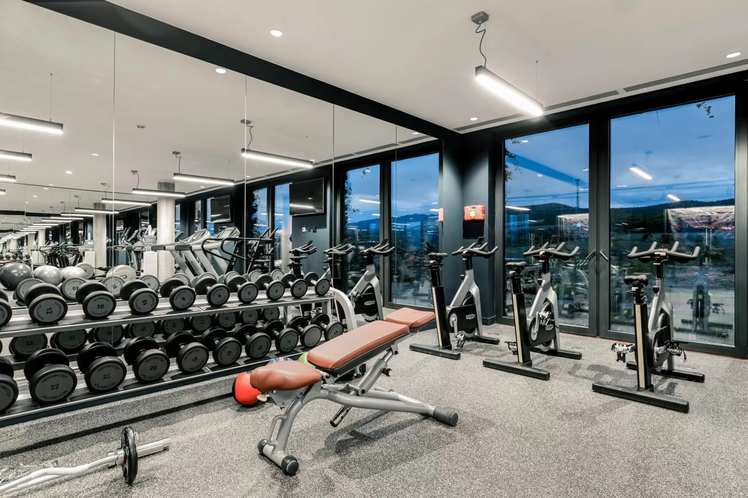 Fitness centre/facilities, Fitness Center/Facilities in Tsinandali Estate, A Radisson Collection Hotel