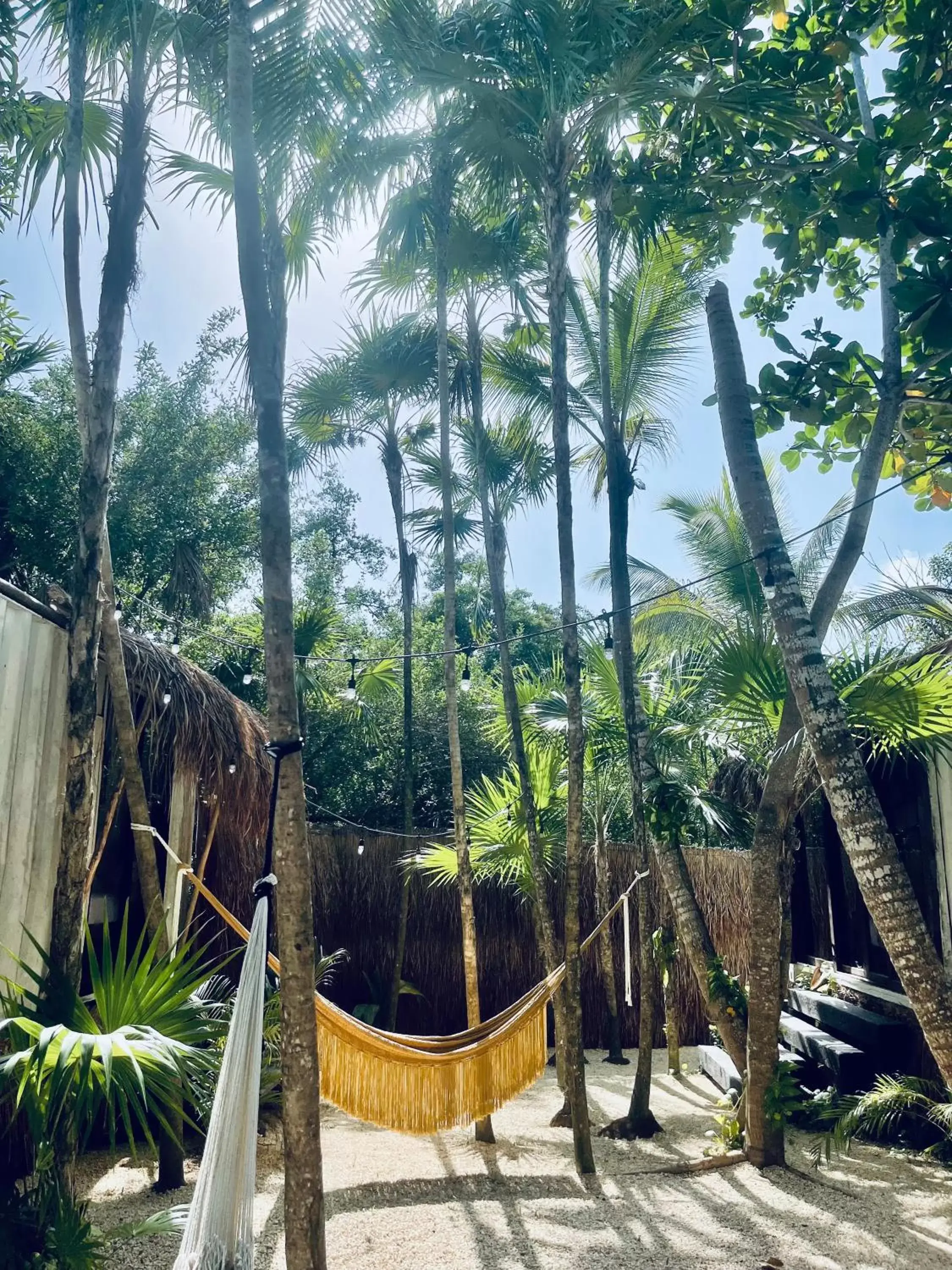 Garden view in Pal Mar Glamtainer Tulum