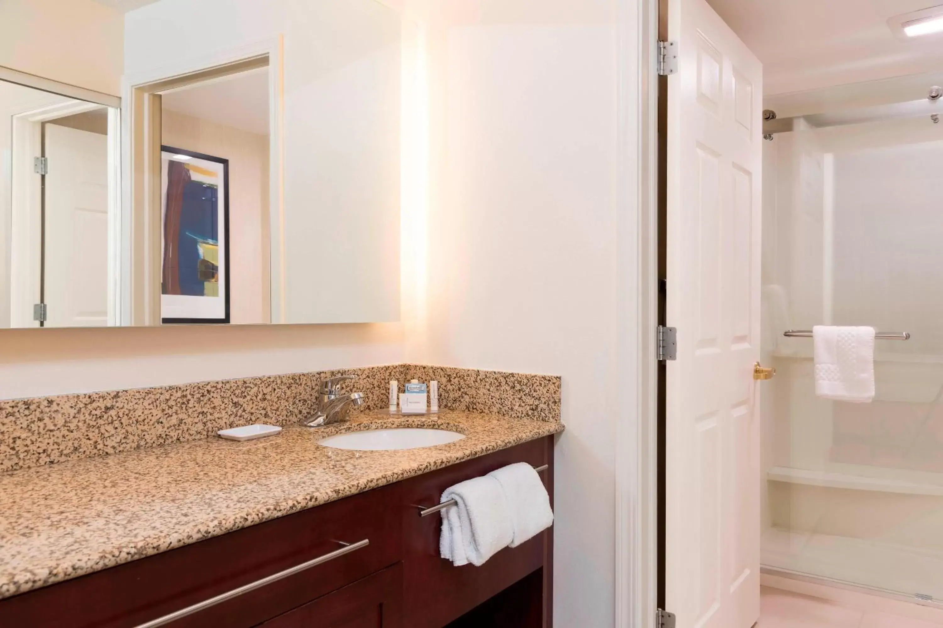 Bathroom in Residence Inn by Marriott Grand Rapids West