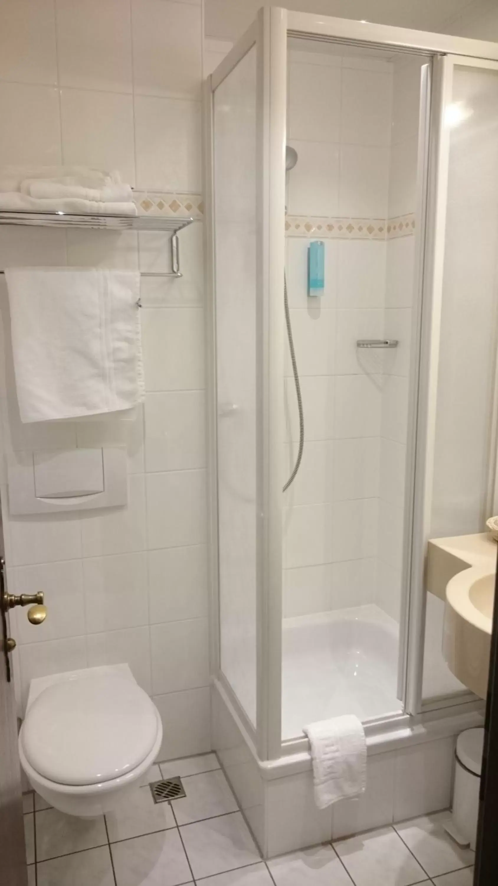 Shower, Bathroom in Central Hotel