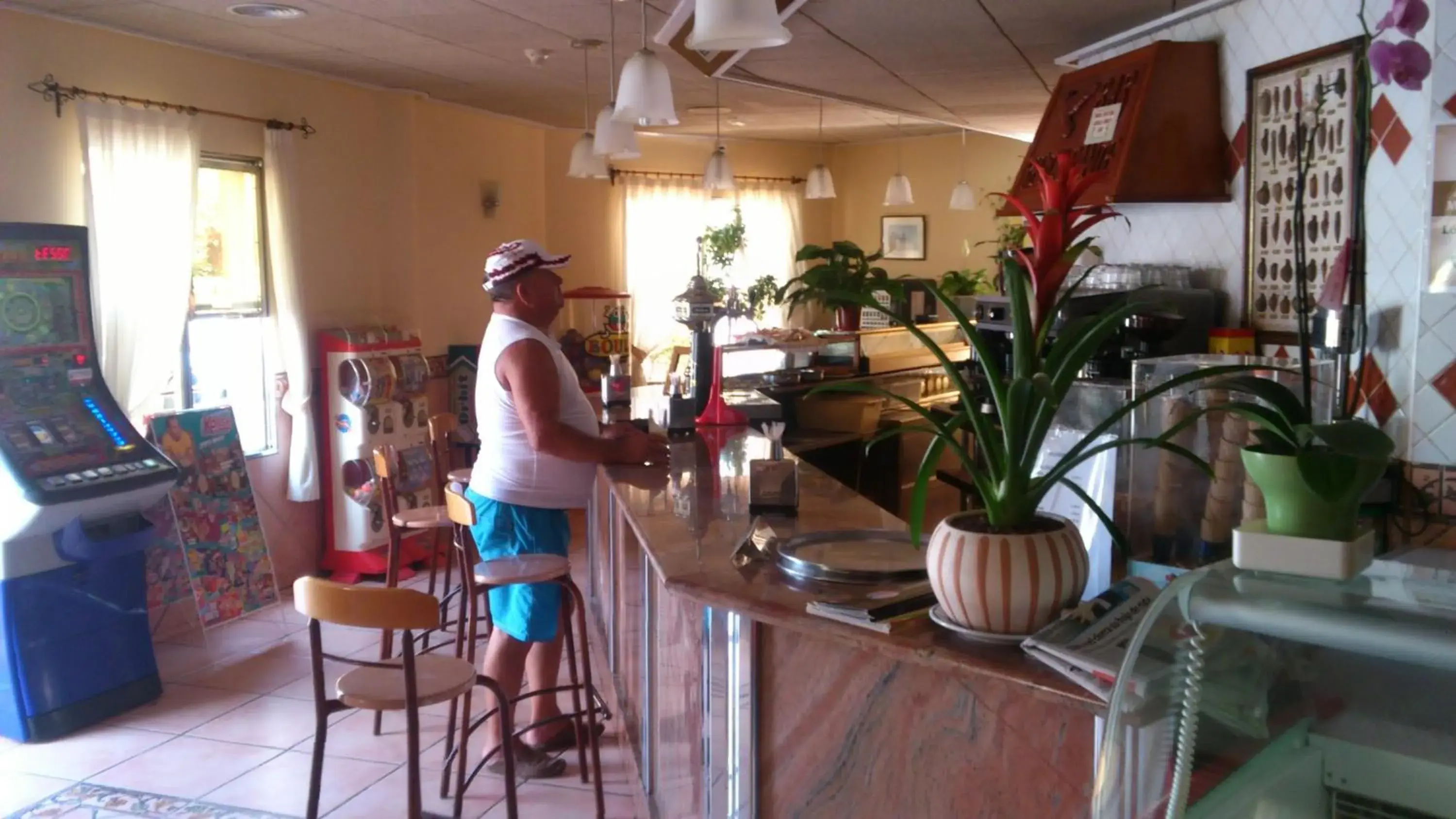 Lounge or bar in Hotel Paloma