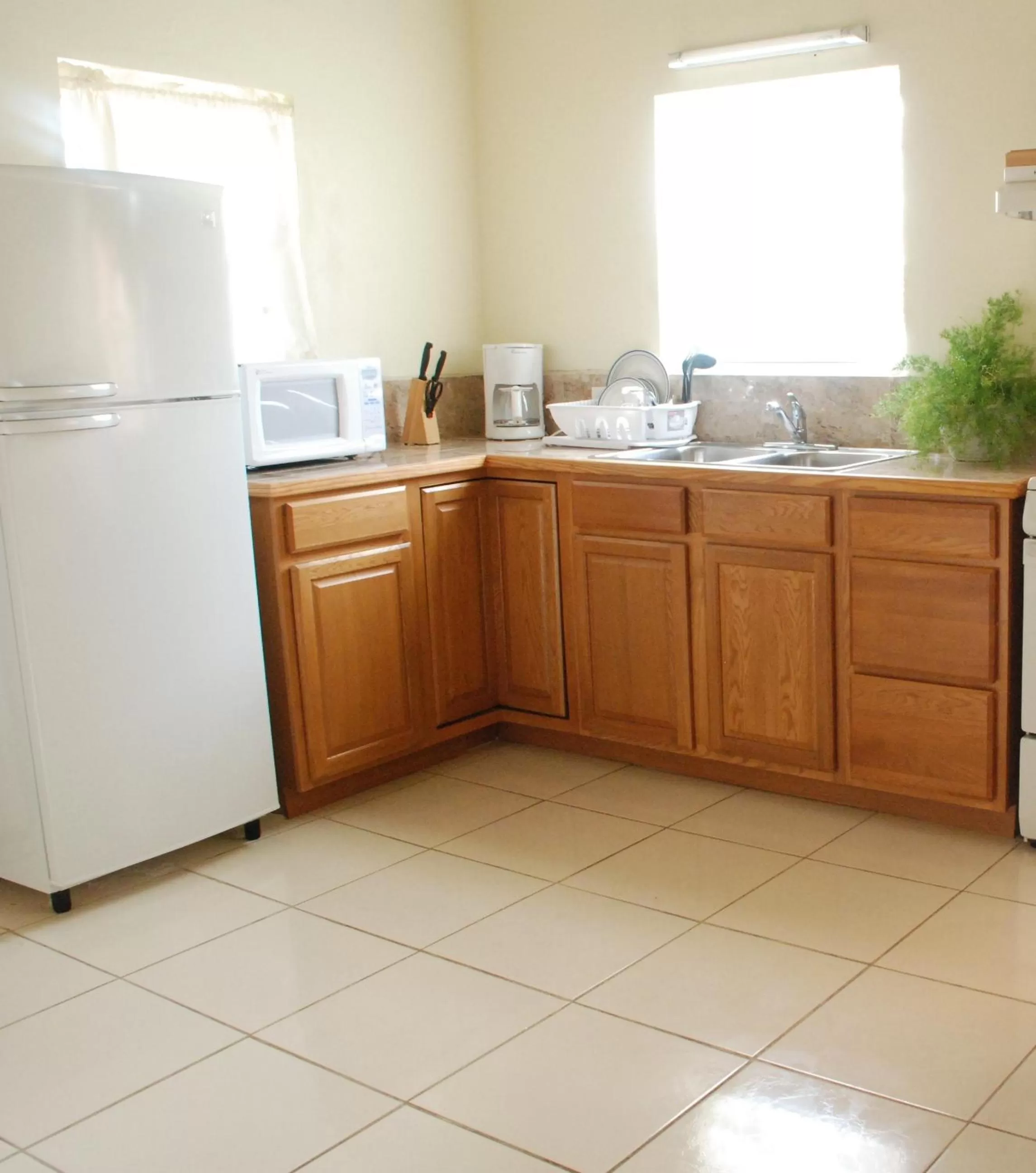 Kitchen or kitchenette in Connie's Comfort Suites