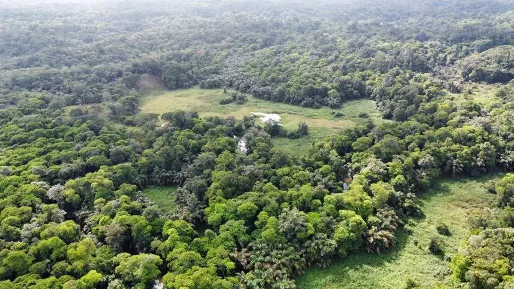 Bird's eye view, Bird's-eye View in Iguanitas Lodge