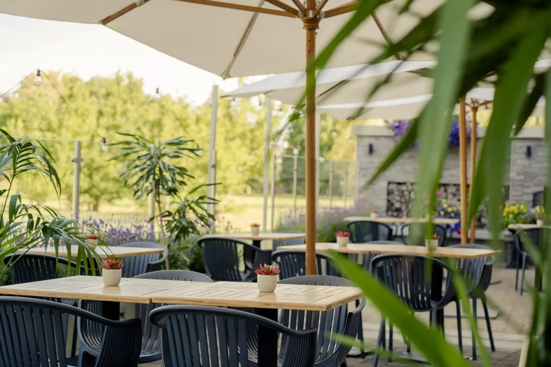 Patio, Restaurant/Places to Eat in The Hoban Hotel Kilkenny