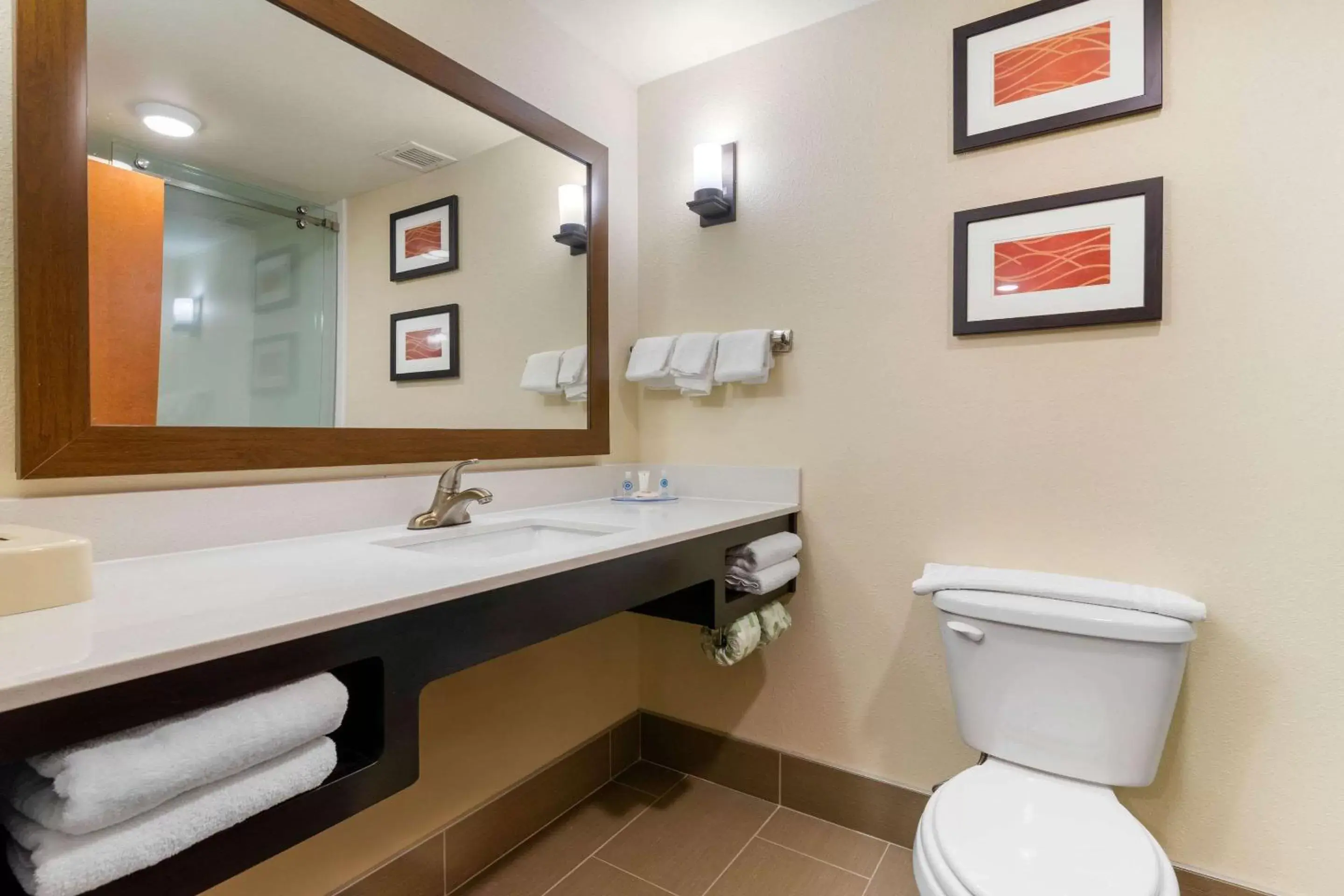 Bathroom in Comfort Inn & Suites Macon West