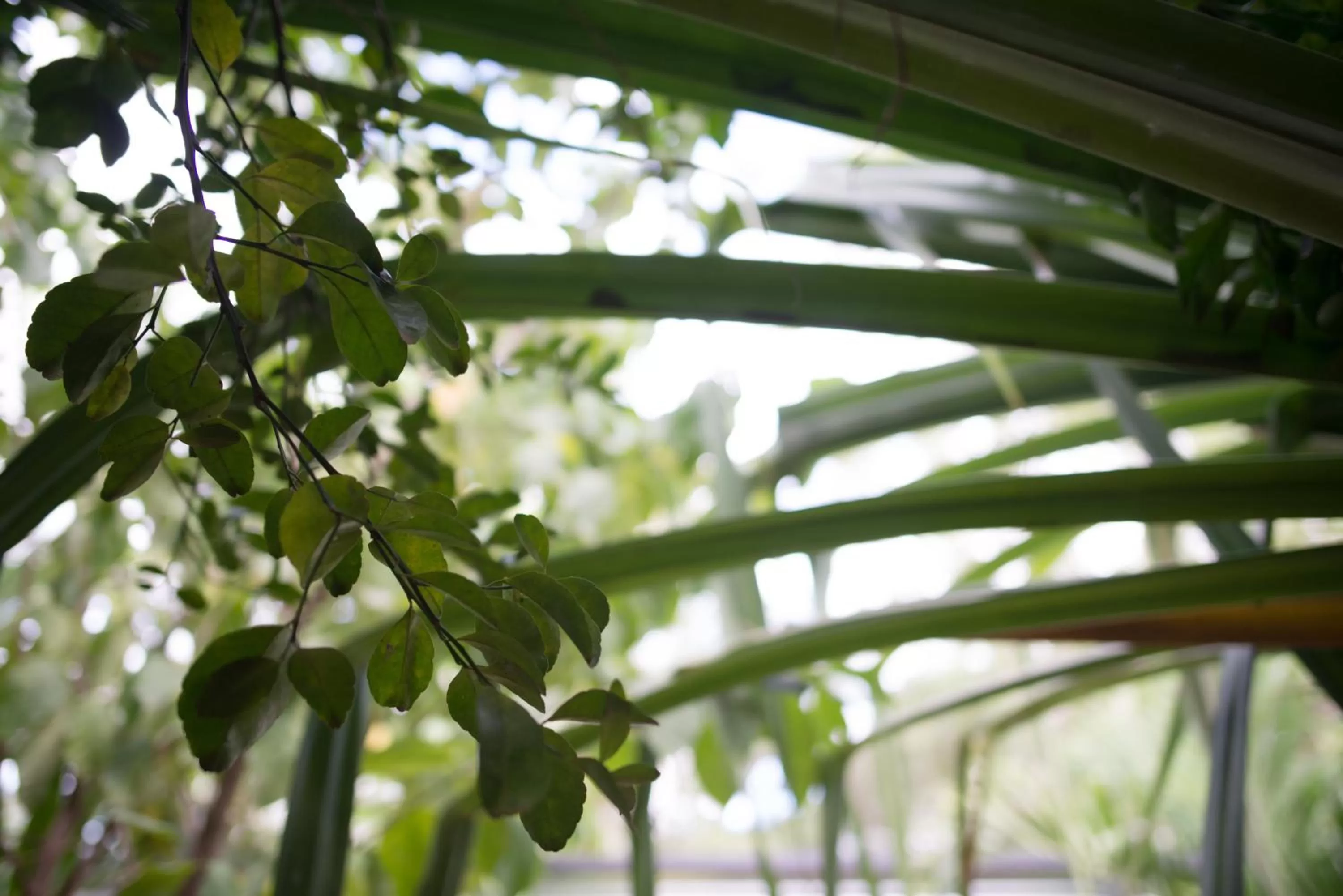 Property building in Tamarindo Sunshine