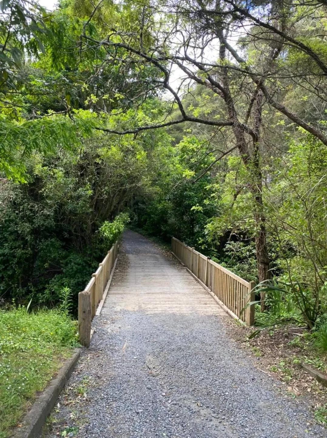 Garden in Kawai Purapura Yoga Retreat Centre