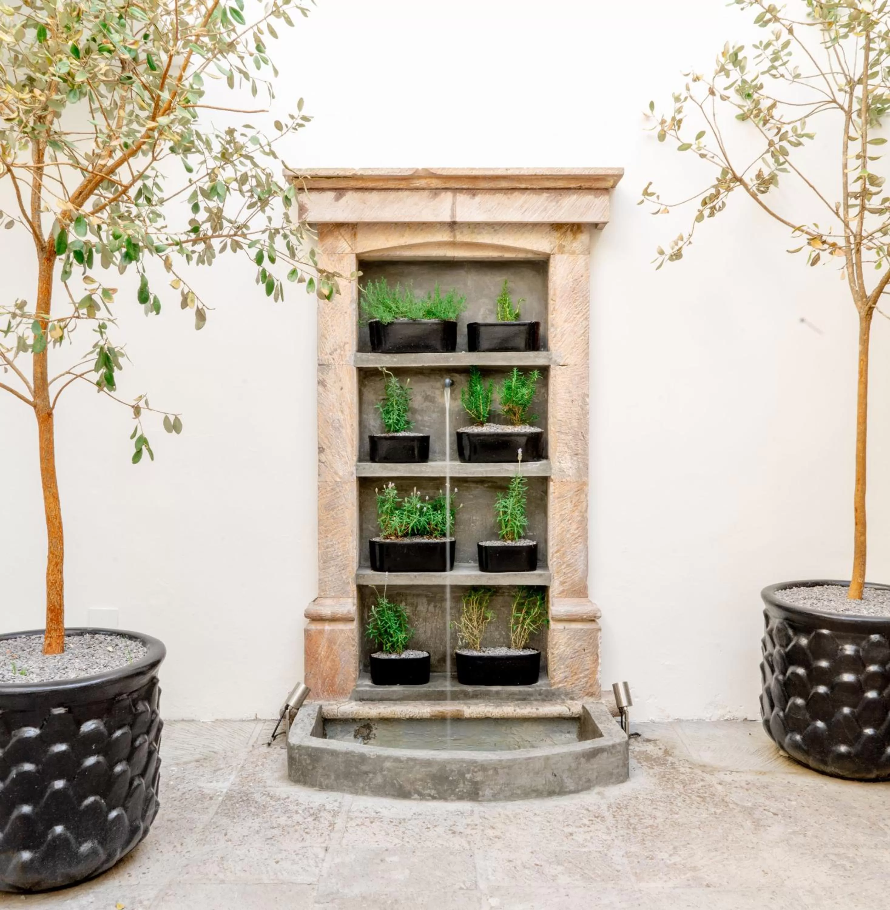 Garden in Casa Delphine