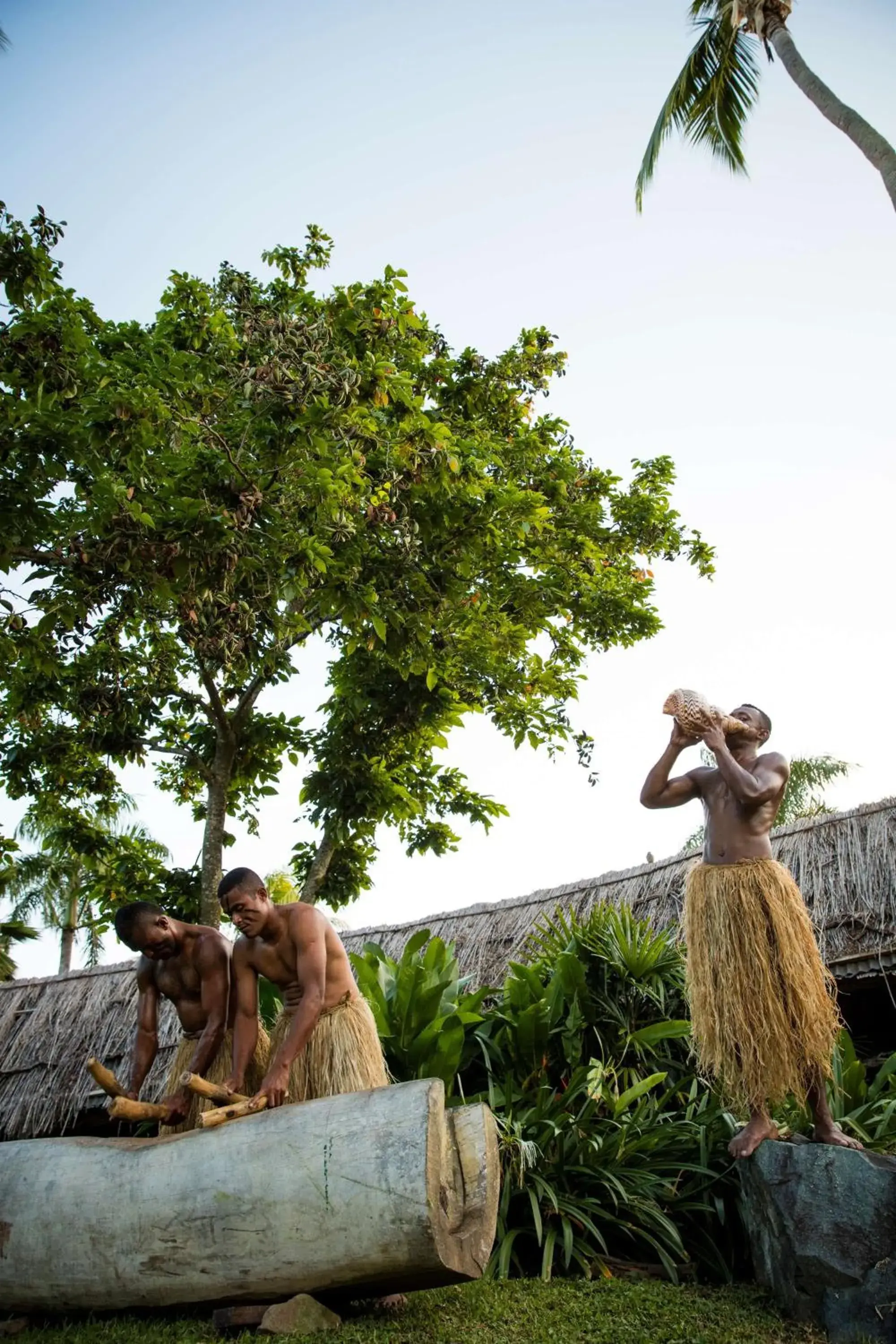 Property building, Other Animals in Outrigger Fiji Beach Resort