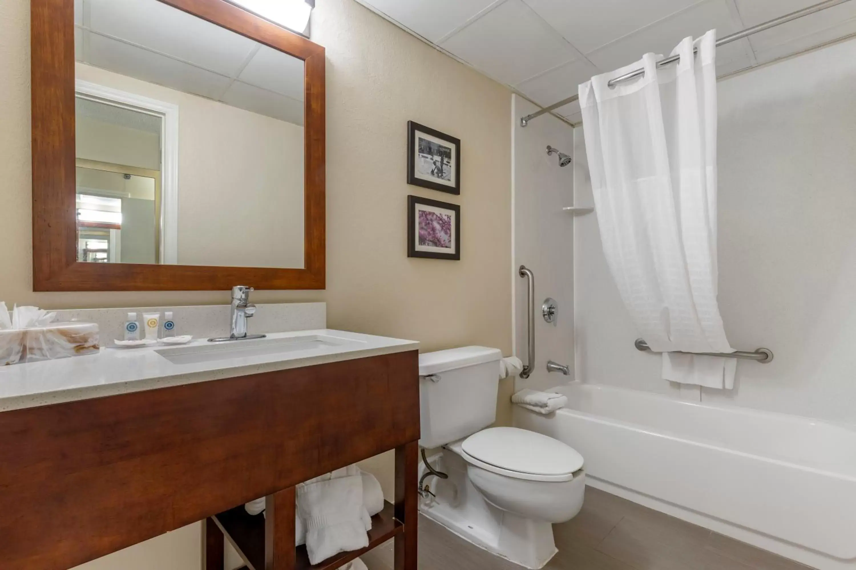 Bathroom in Comfort Inn Charlotte Airport Uptown