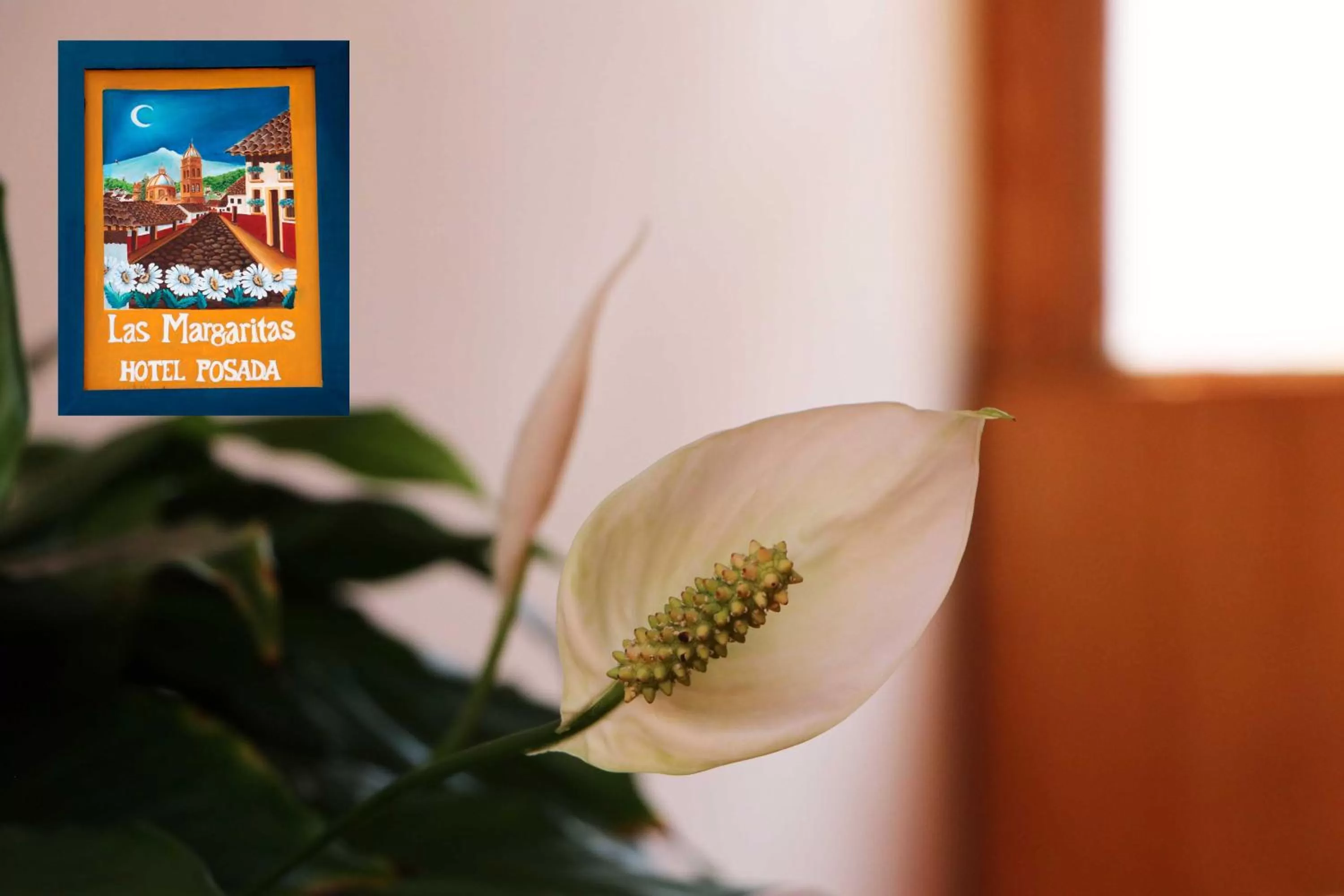 Decorative detail in Las Margaritas Hotel Posada
