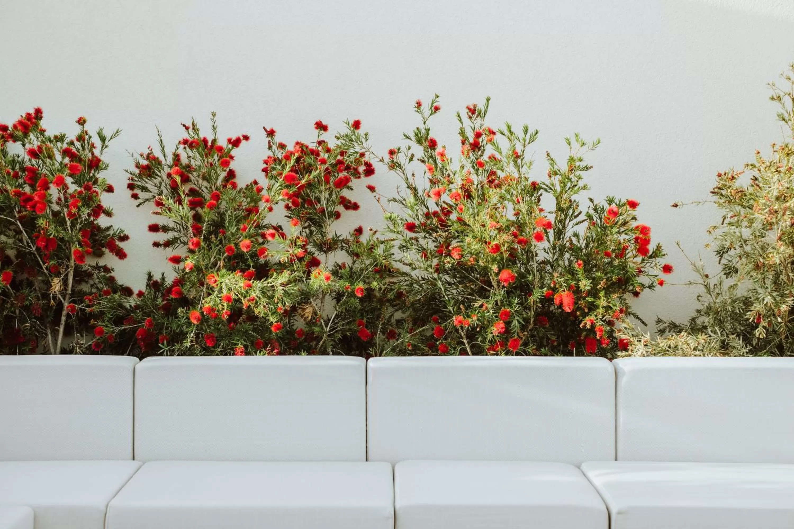 Patio in Es Princep - The Leading Hotels of the World