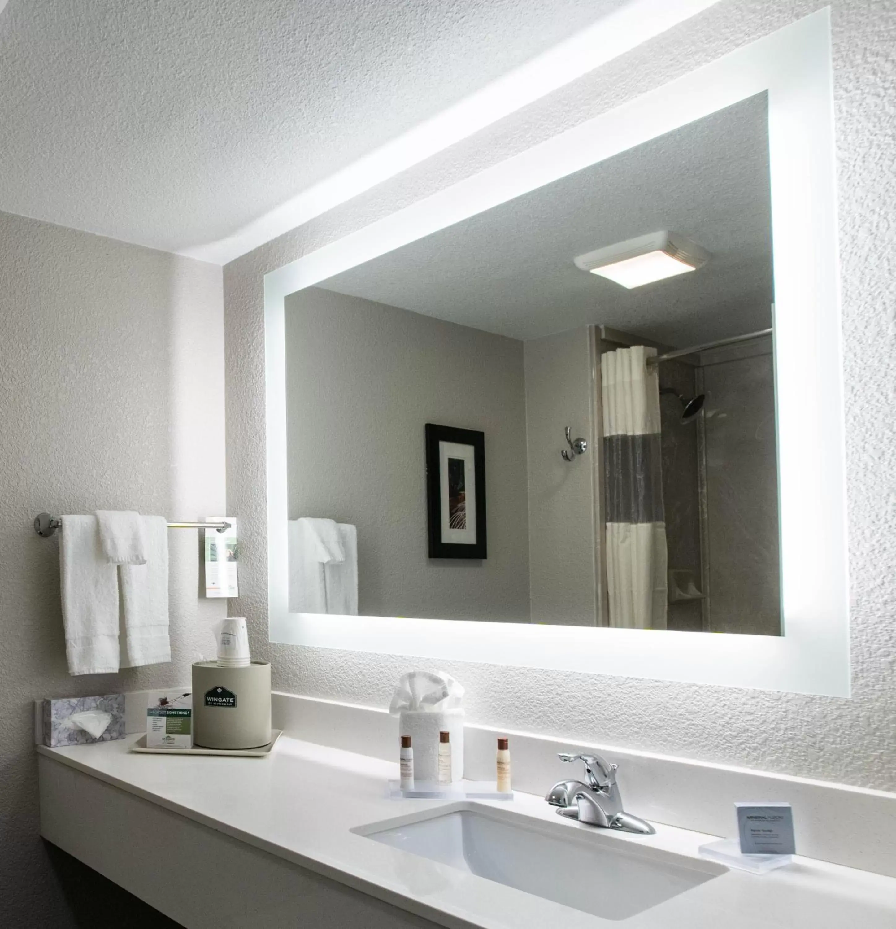 Bathroom in Wingate by Wyndham Dallas Love Field