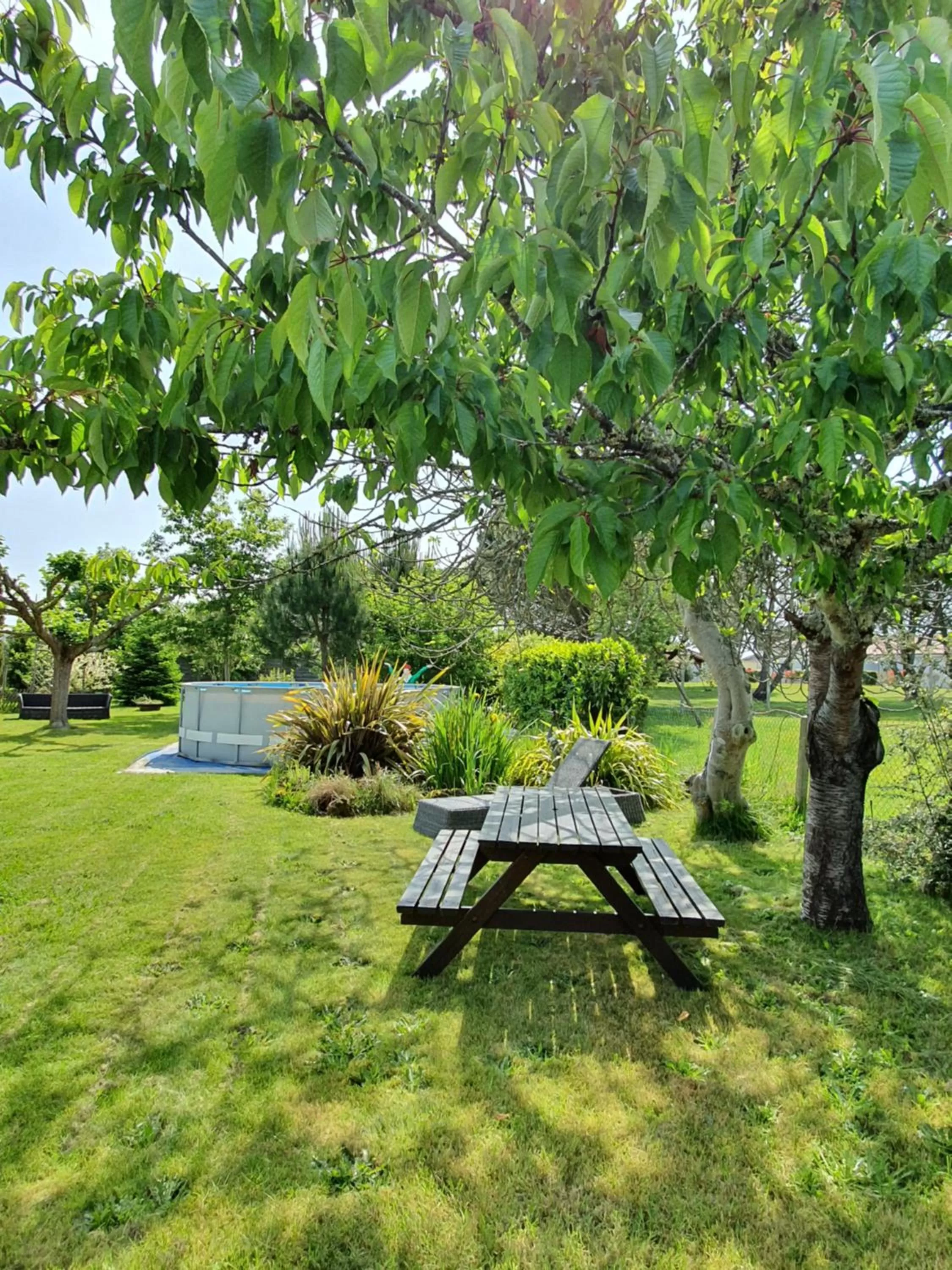 Garden in a2pasdelaforet