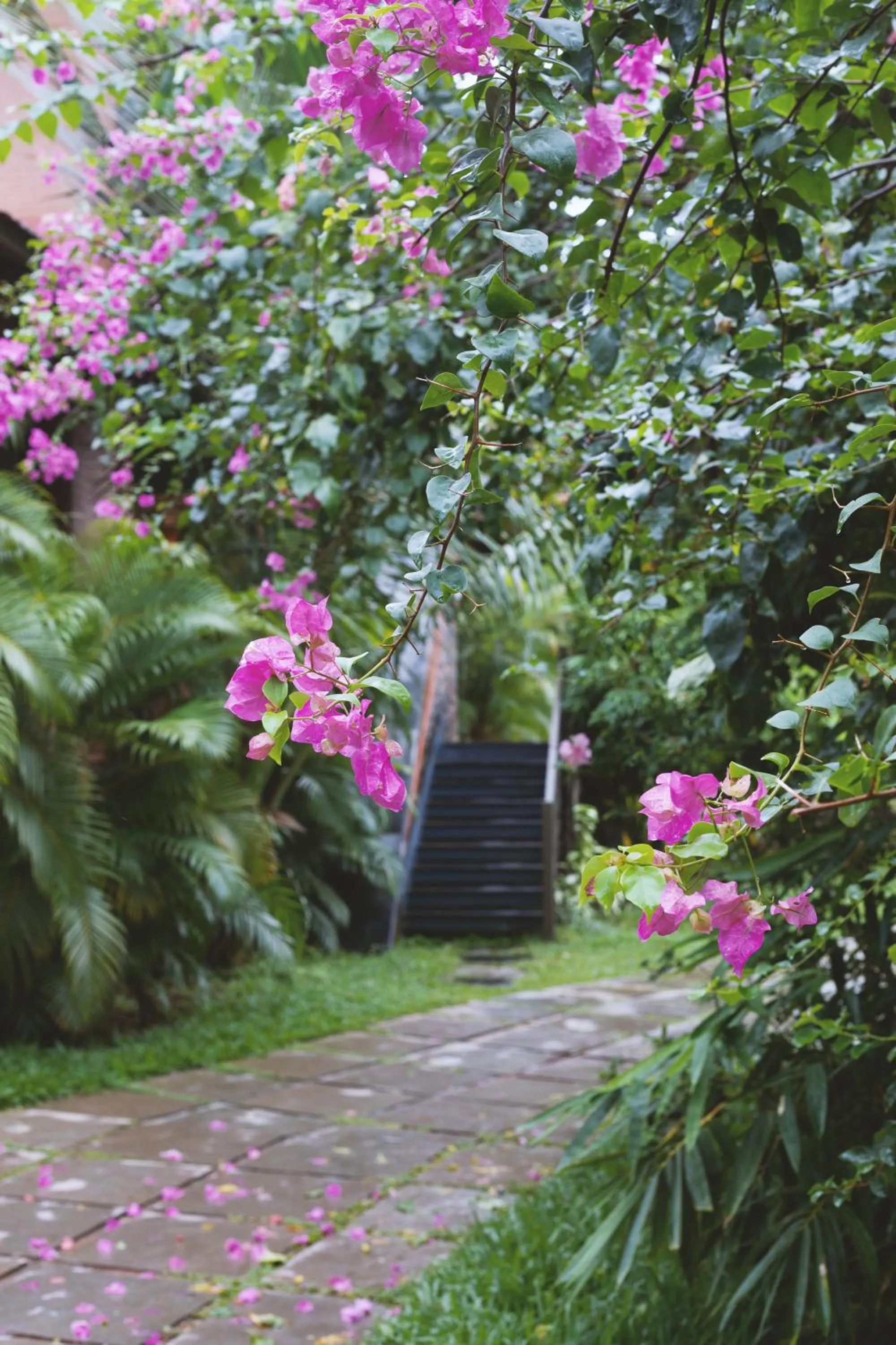 Garden in AMARA AYURVEDA RETREAT- Overlooking Evergreen Western Ghats an ecologically sustainable living space in Kovalam