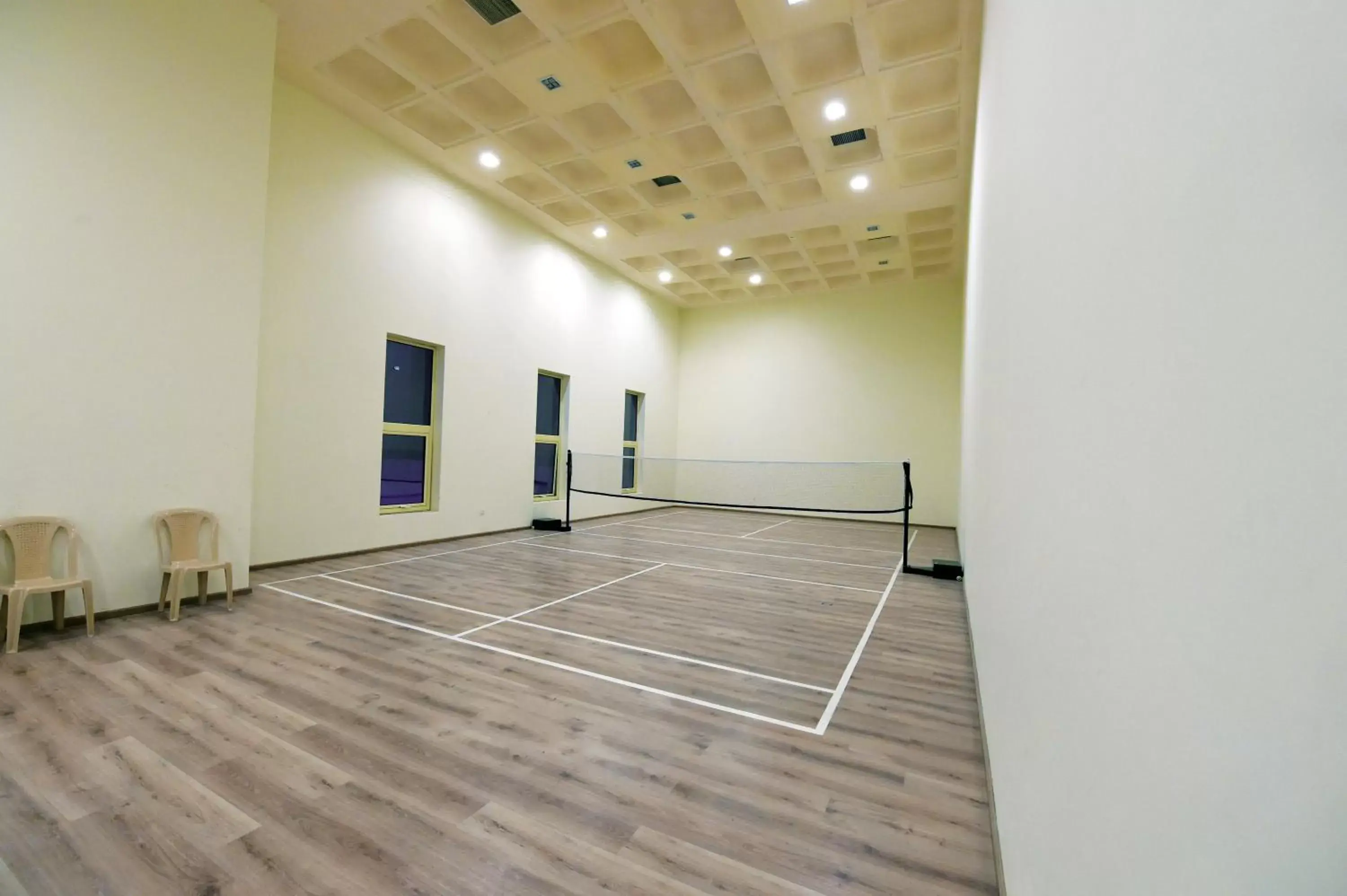 Sports, Business Area/Conference Room in Orange Suites Hotel