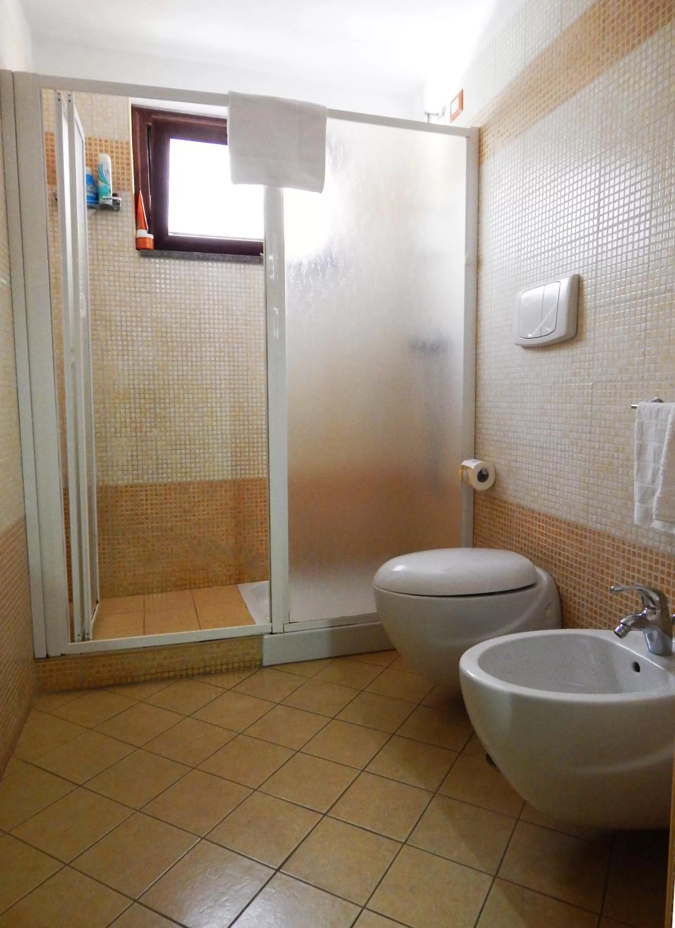 Shower in B&B Del Borgo