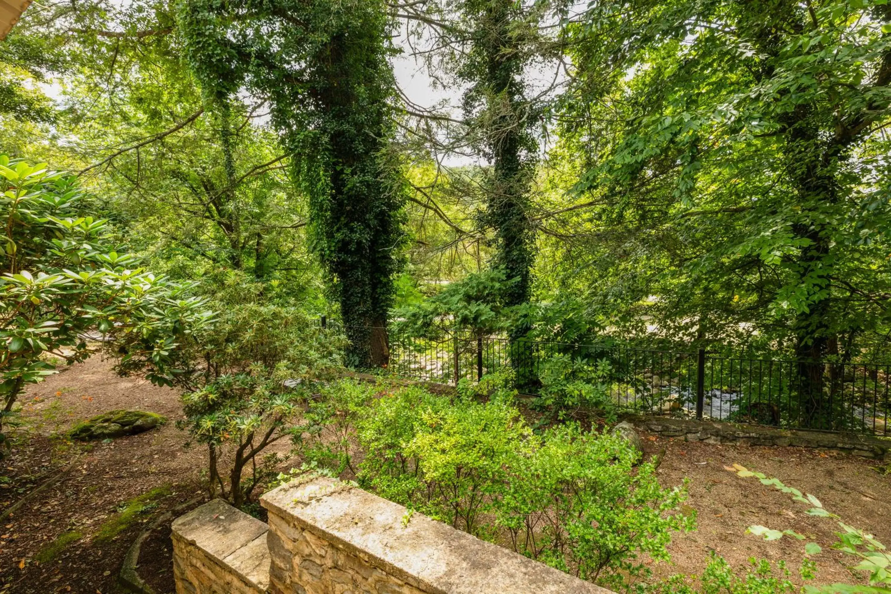 Garden in Carr's Northside Hotel and Cottages