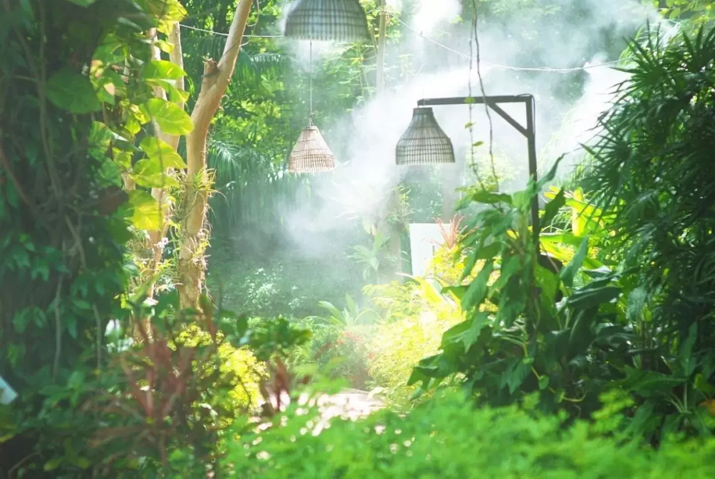 Birds and Bees Resort Birds and Bees Resort