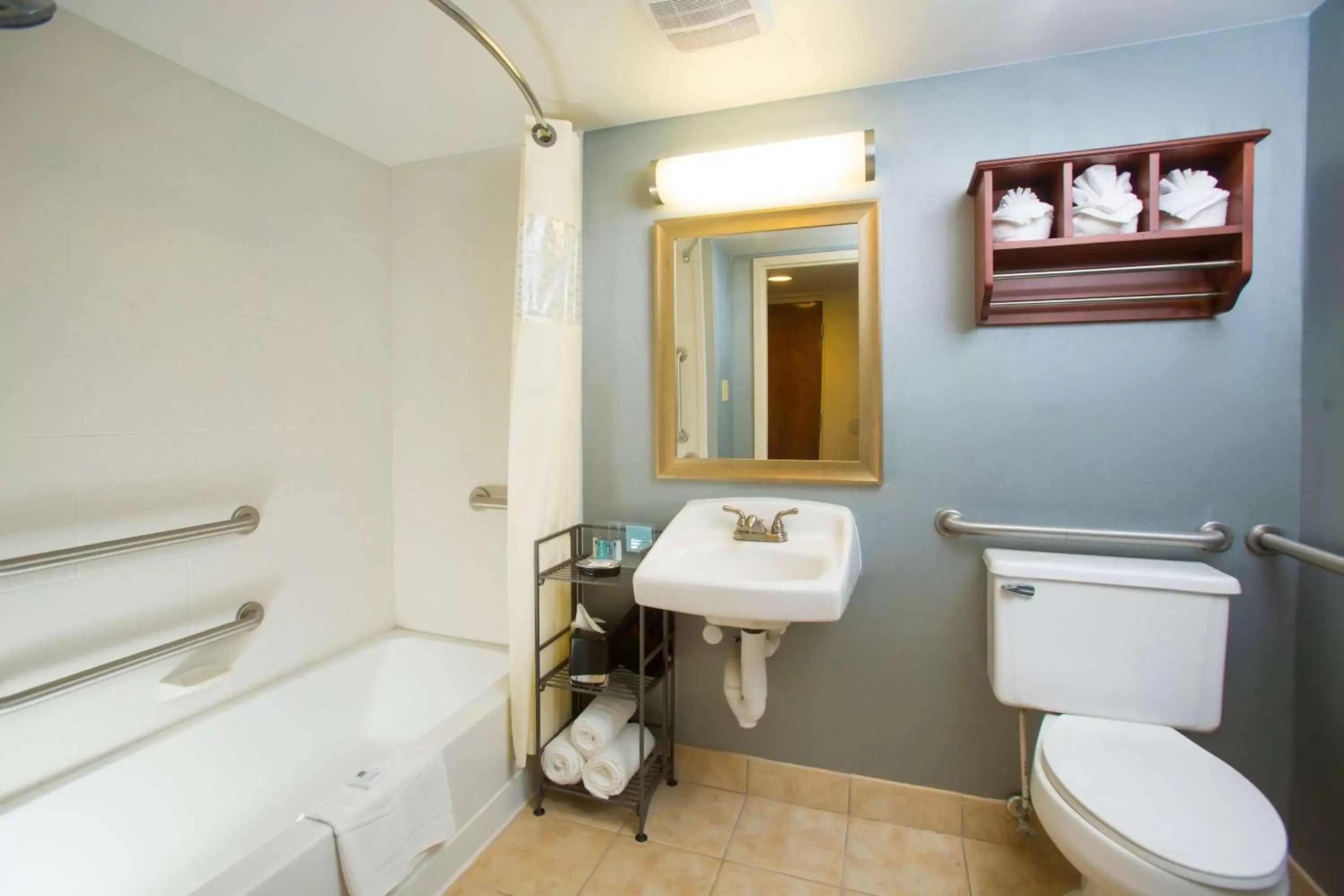 Bathroom in Hampton Inn Morehead City