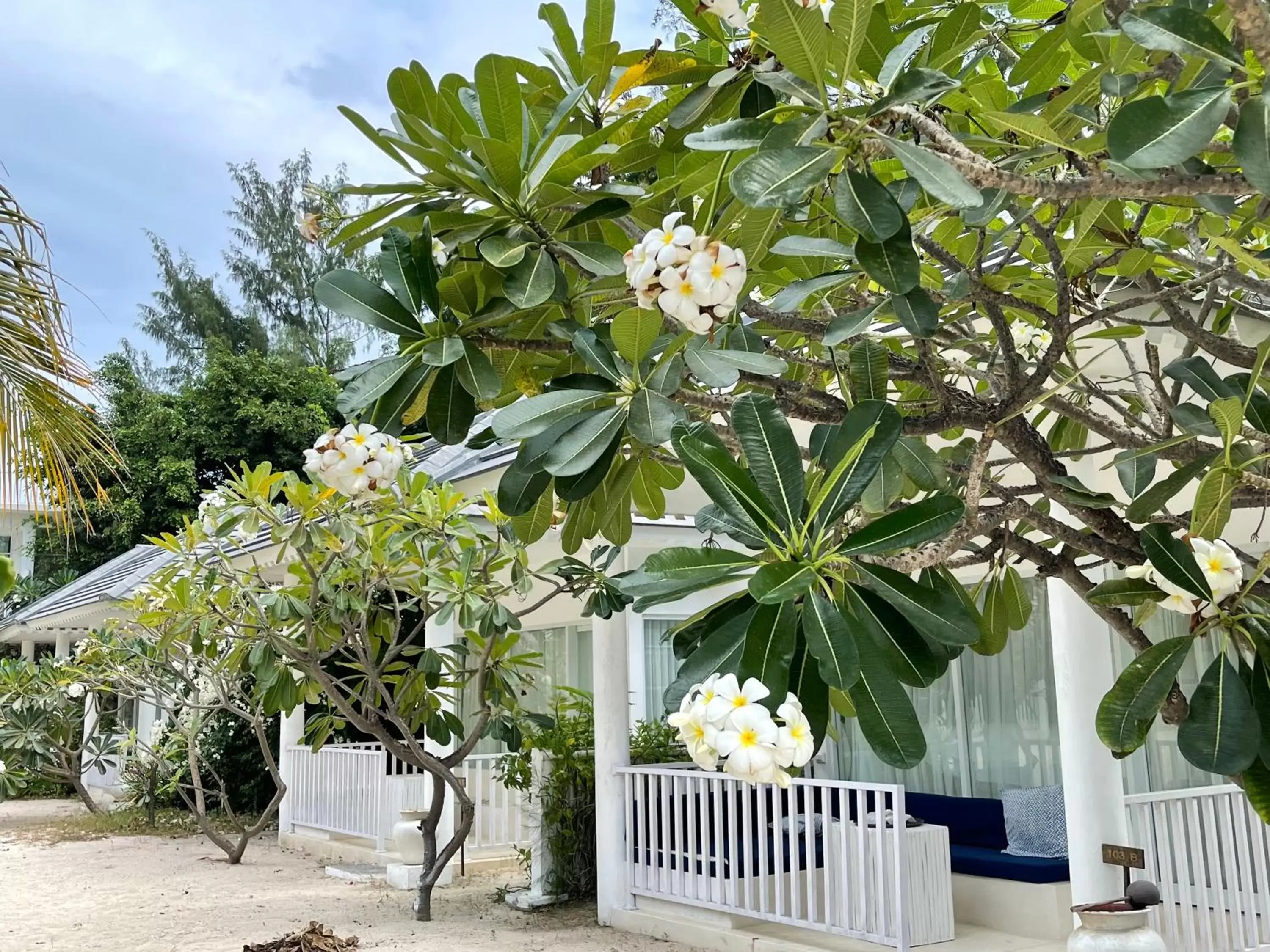 Garden, Property Building in Seri Resort Gili Meno - Adults Only