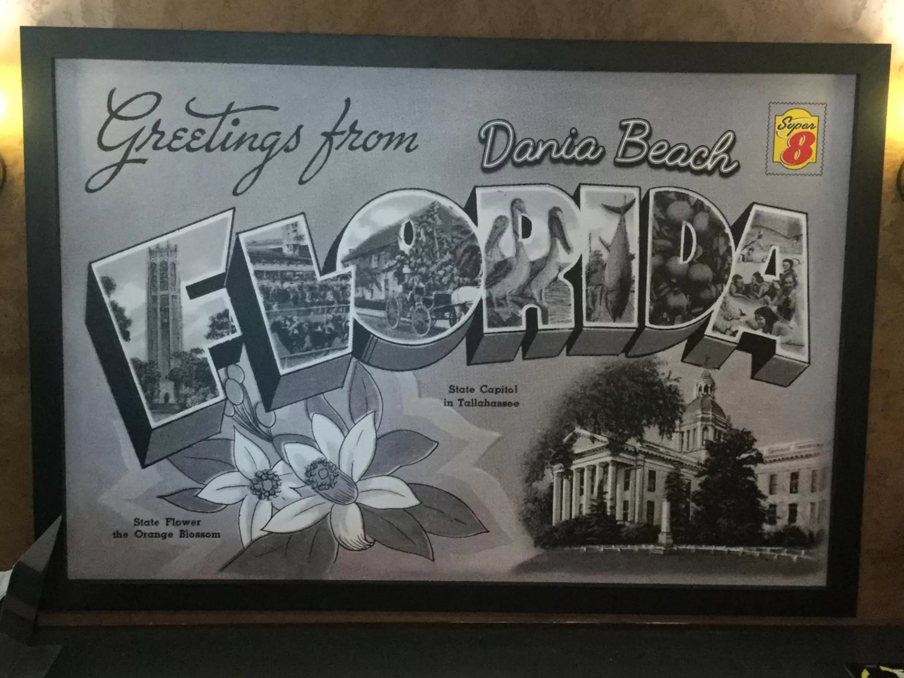 Property logo or sign in Super 8 Motel by Wyndham near Fort Lauderdale Arpt