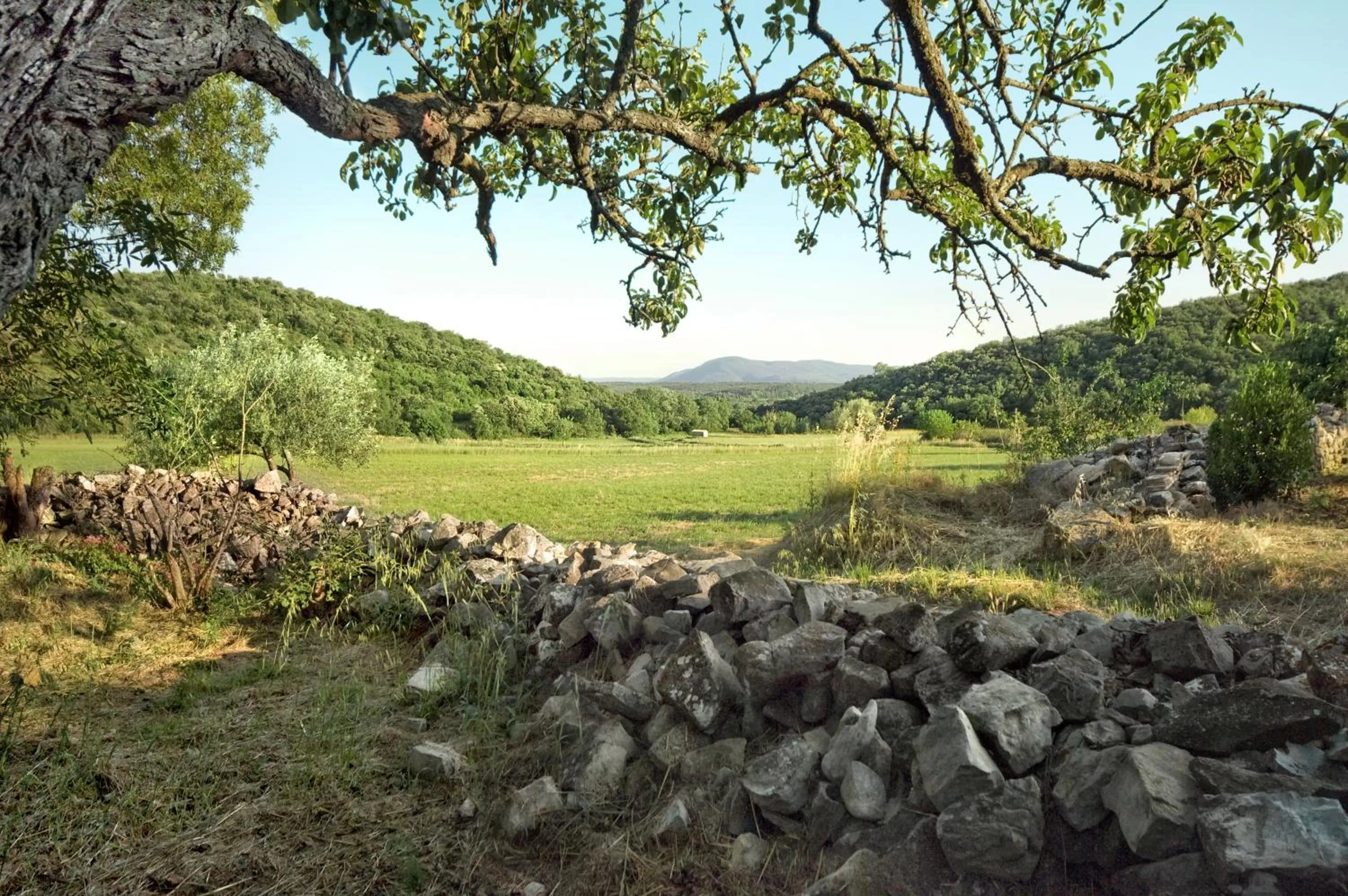 Garden in La Vieille Maison - Halte Gourmande