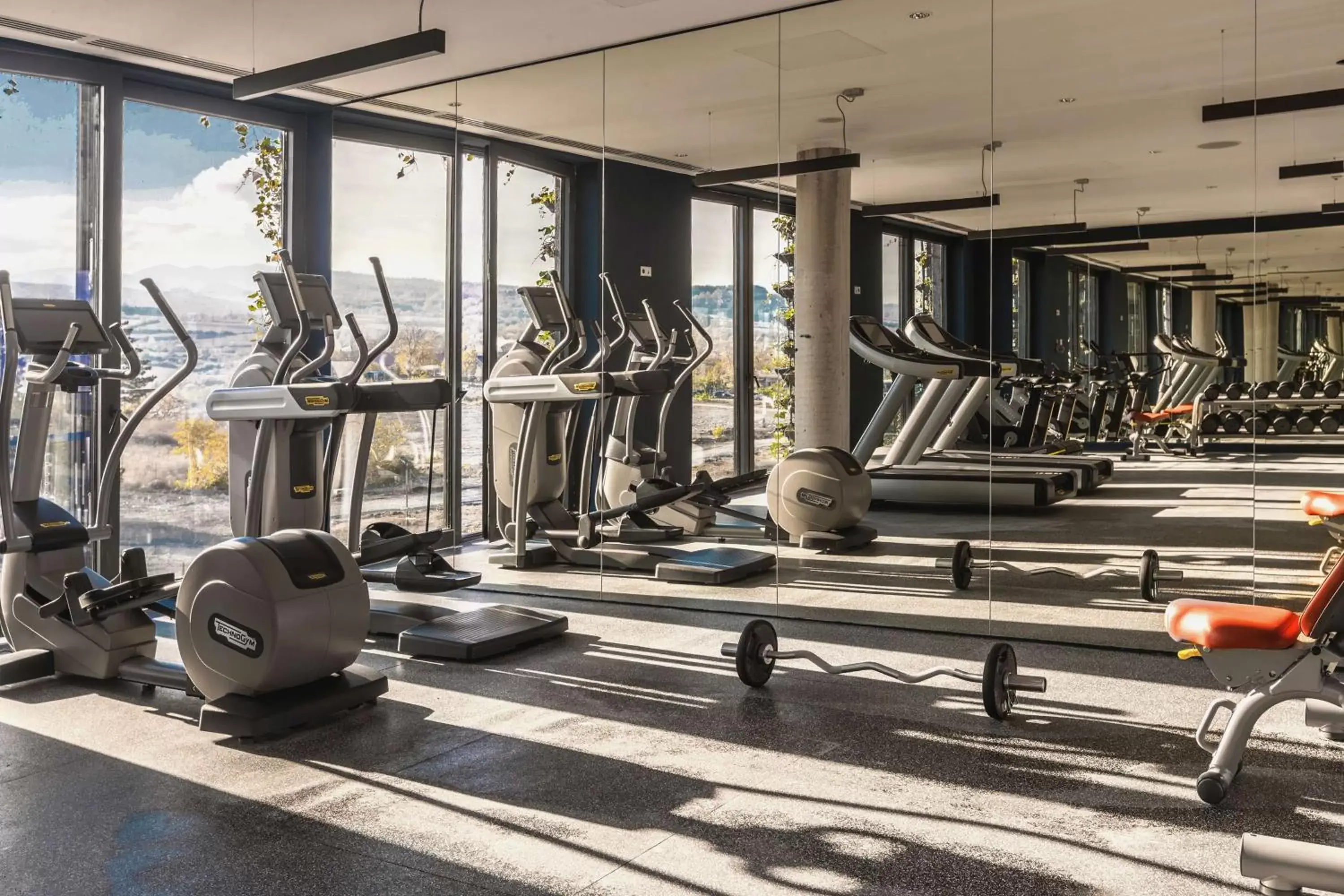 Activities, Fitness Center/Facilities in Tsinandali Estate, A Radisson Collection Hotel