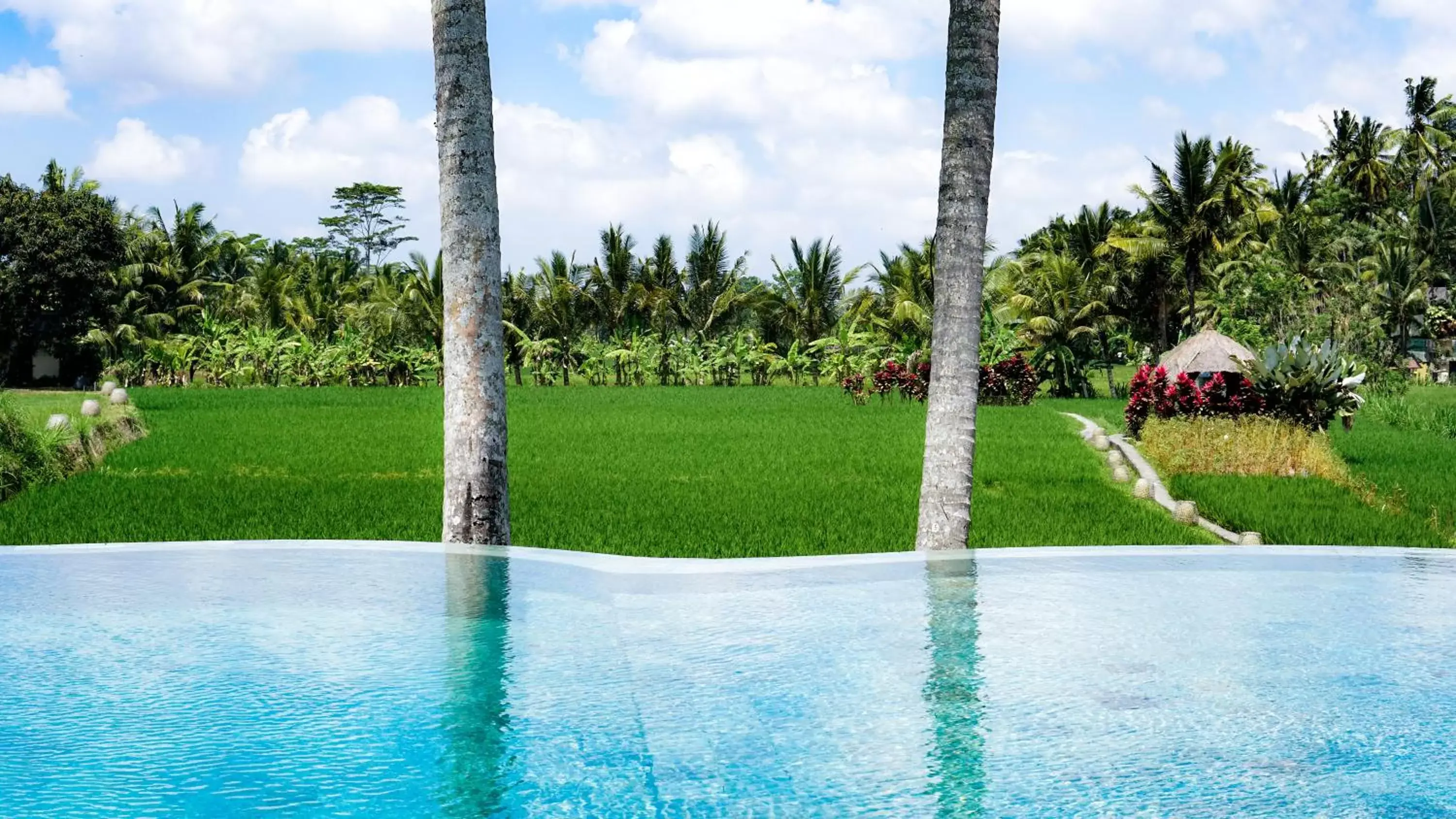 Balcony/Terrace in MATHIS Retreat Ubud