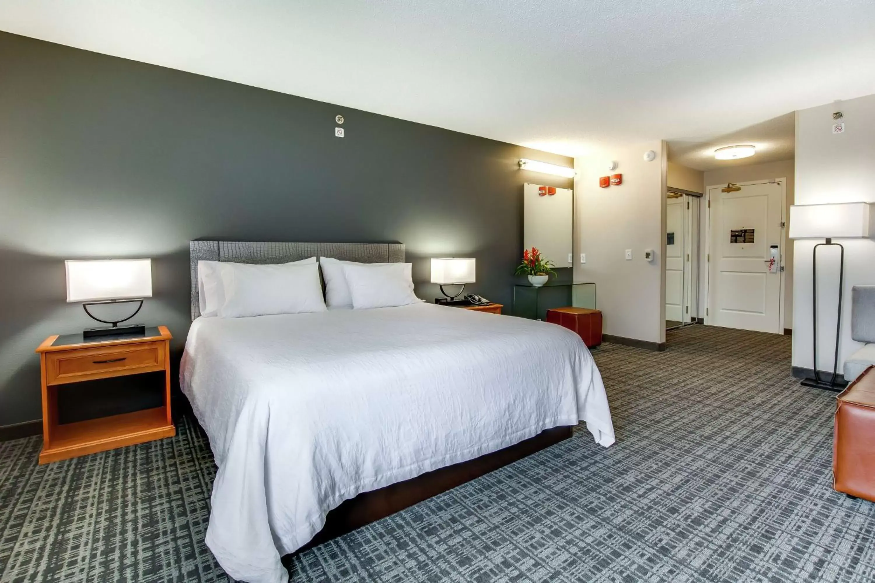 Photo of the whole room, Bed in Hilton Garden Inn Louisville Airport