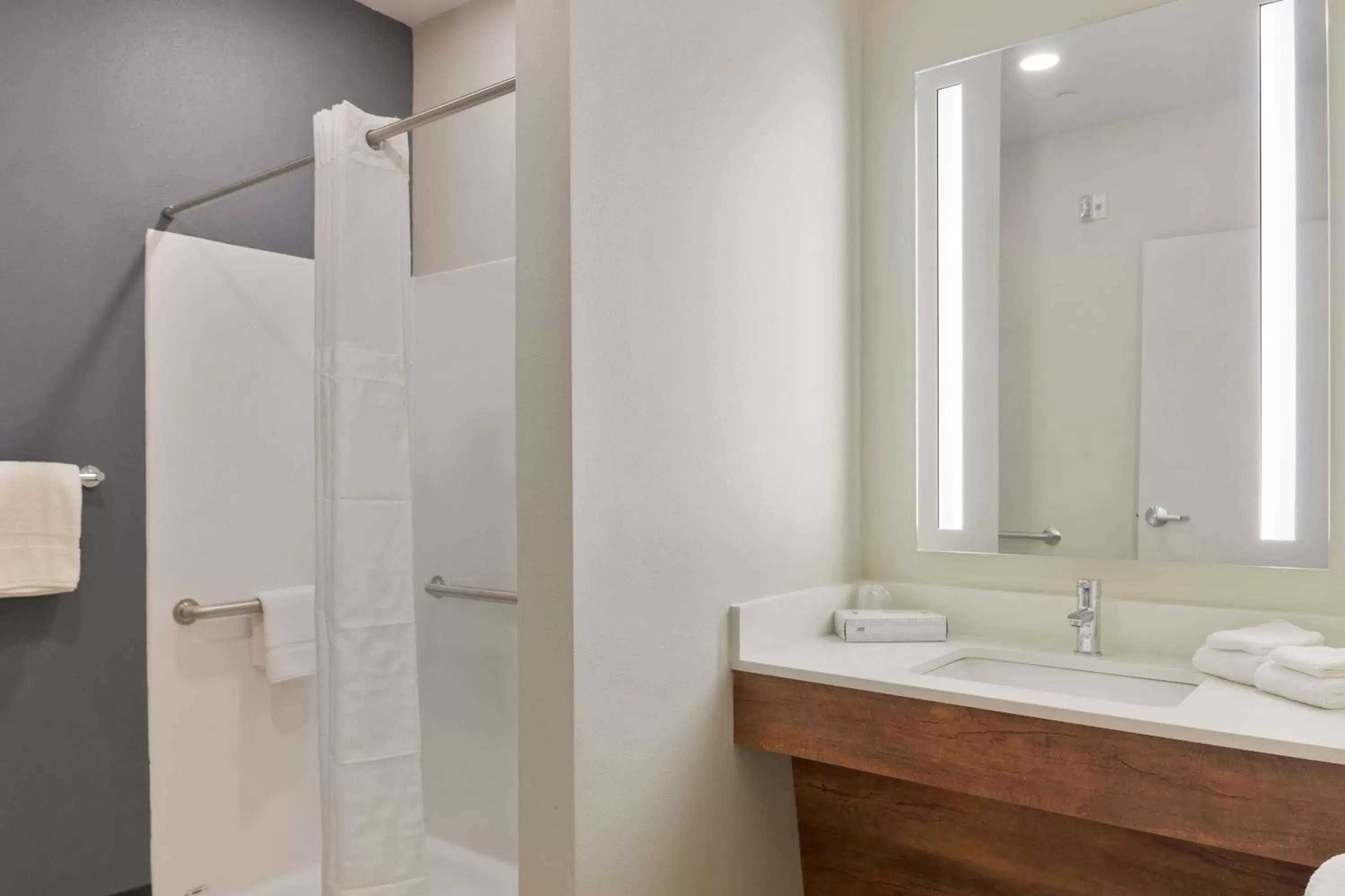 Bathroom in Extended Stay America Premier Suites - Phoenix - Chandler - Downtown