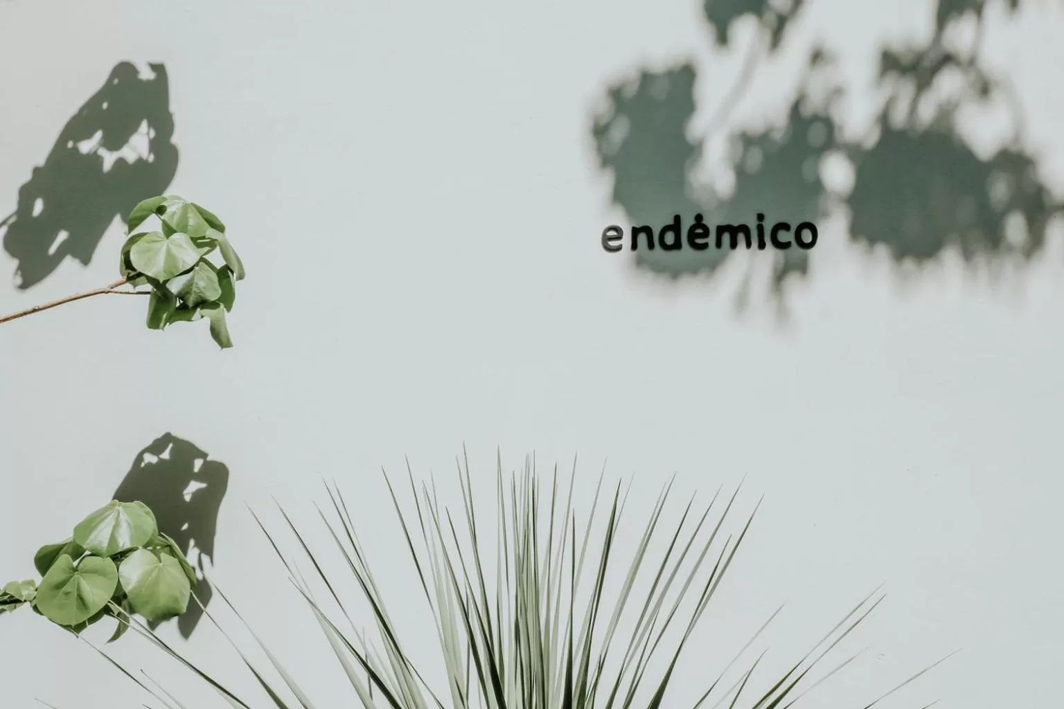 Restaurant/places to eat in Majagua Hotel Boutique -Adults Only