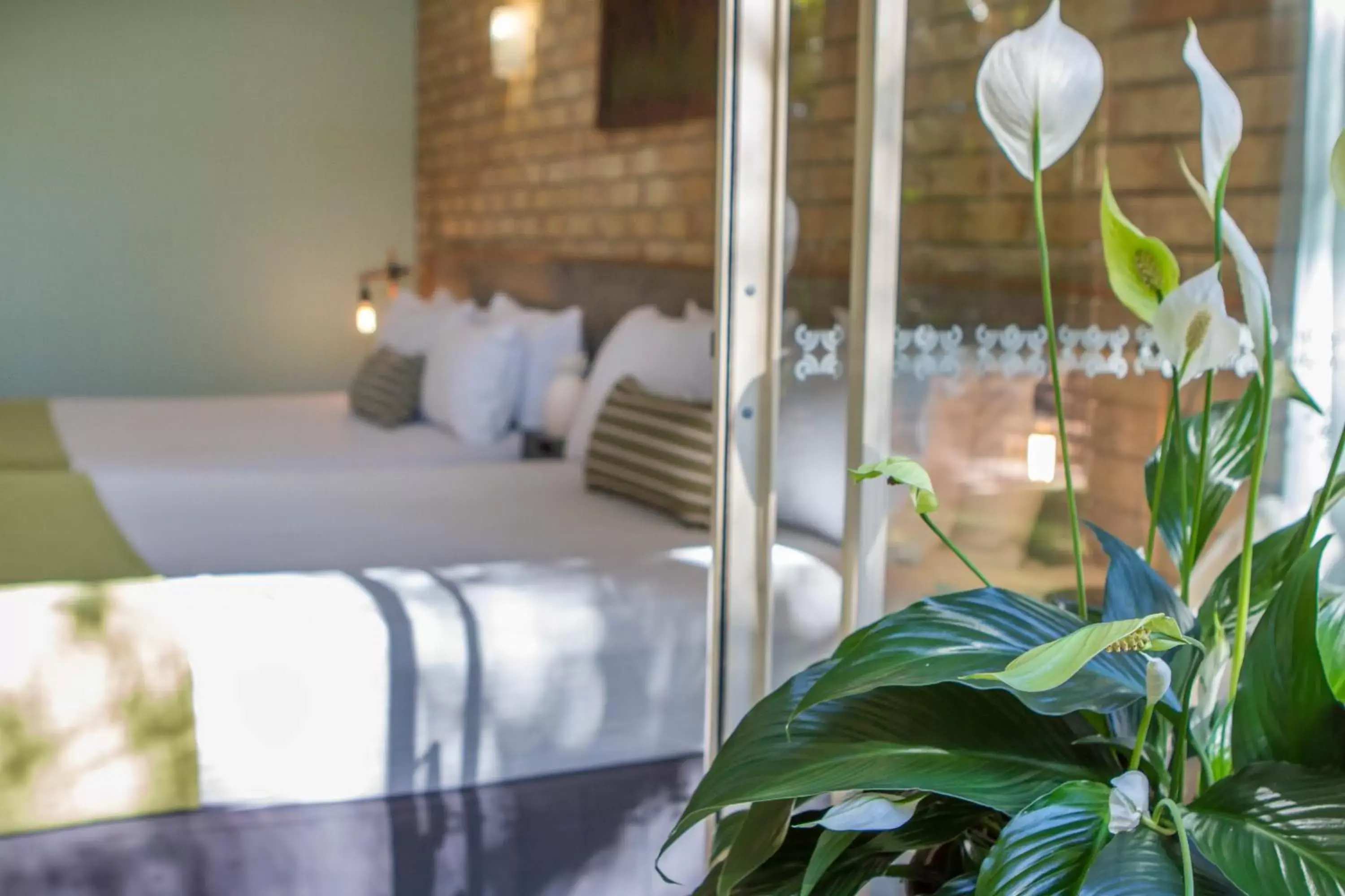 Decorative detail, Bed in Sunshine Coast Motor Lodge