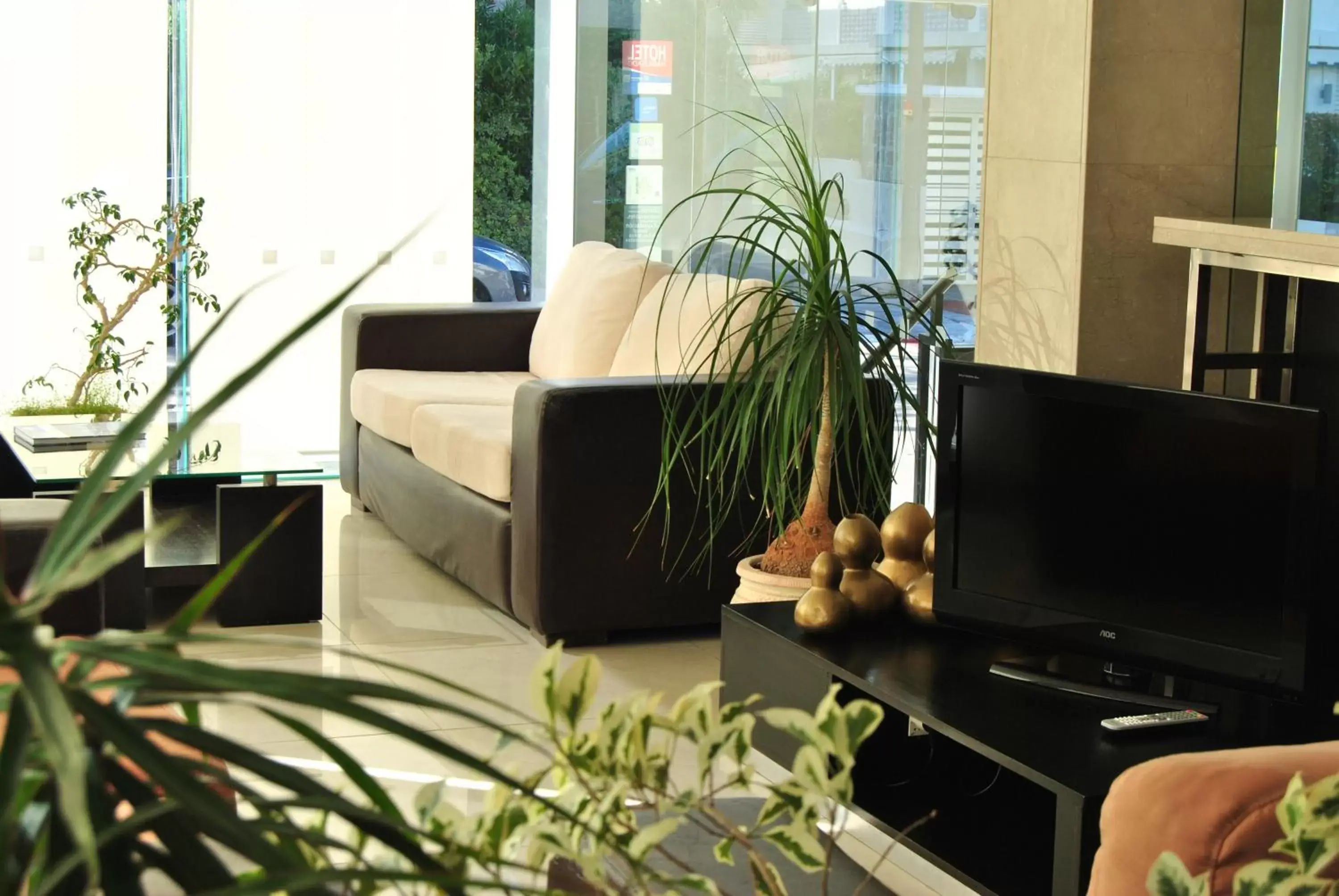 Lobby or reception in Hotel Castilla Lobby or reception in Hotel Castilla