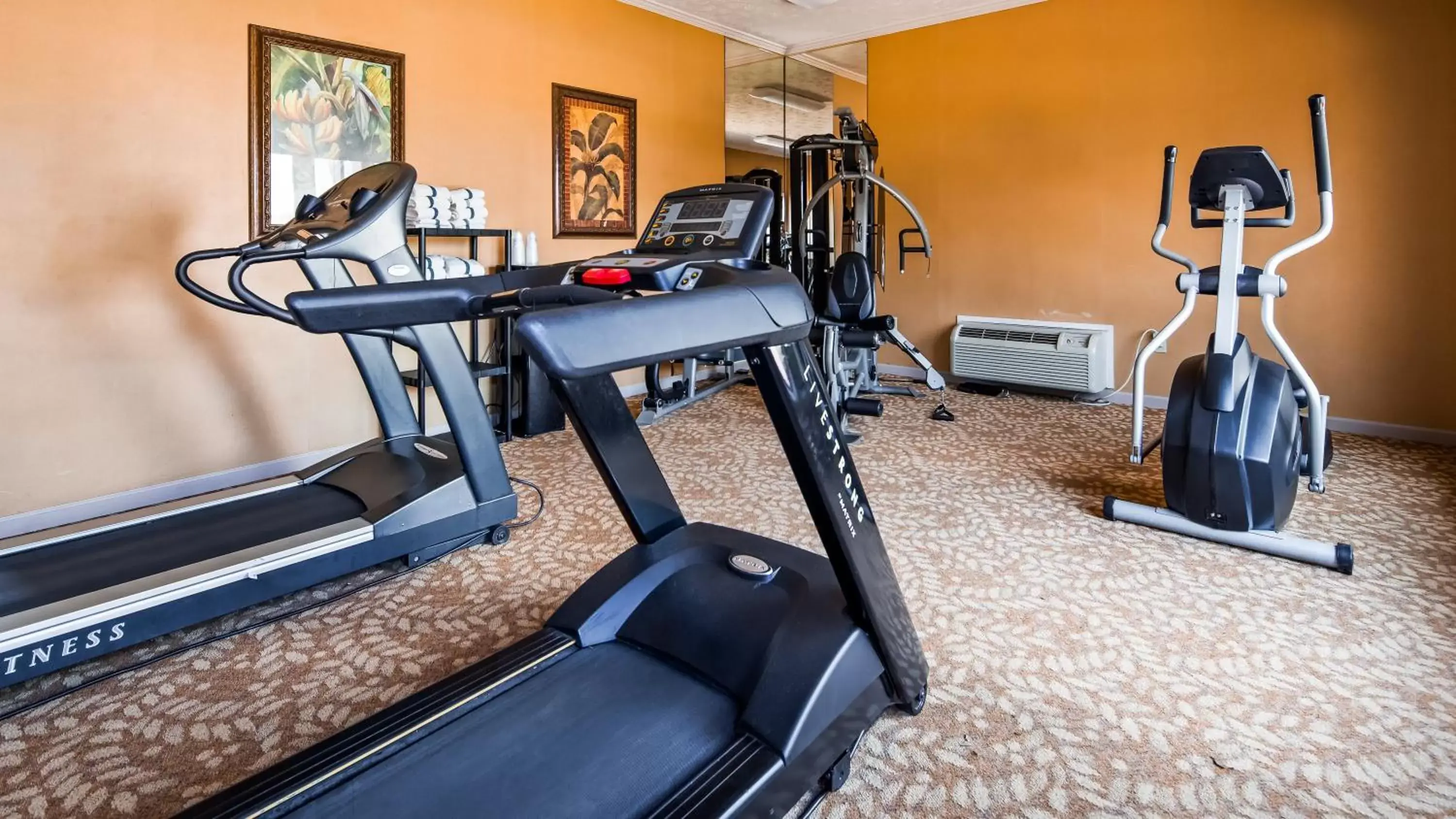 Fitness centre/facilities, Fitness Center/Facilities in SureStay Plus Hotel by Best Western Fayetteville