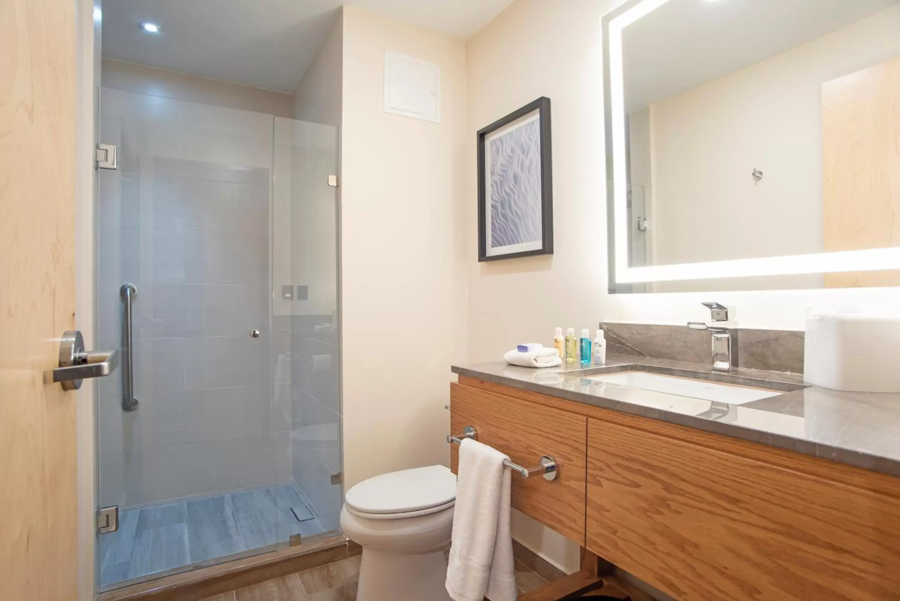 Bathroom in Candlewood Suites - Guadalajara Galerias, an IHG Hotel