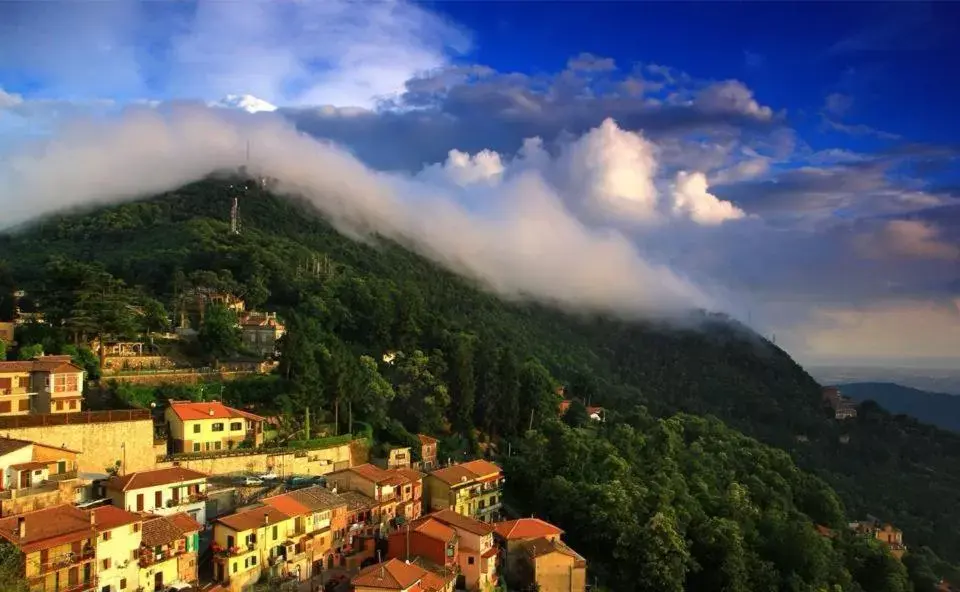 Bird's-eye View in Villa dei Fantasmi