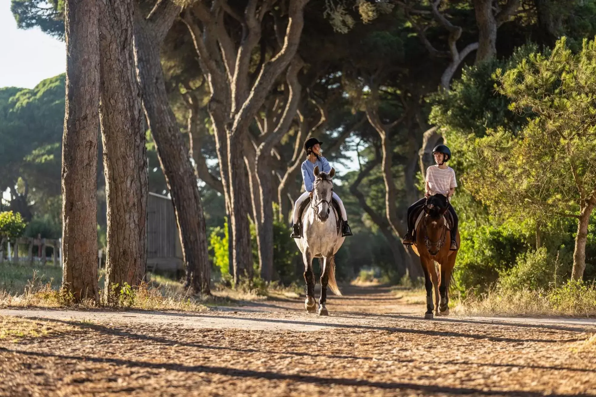 Activities, Horseback Riding in The Oitavos