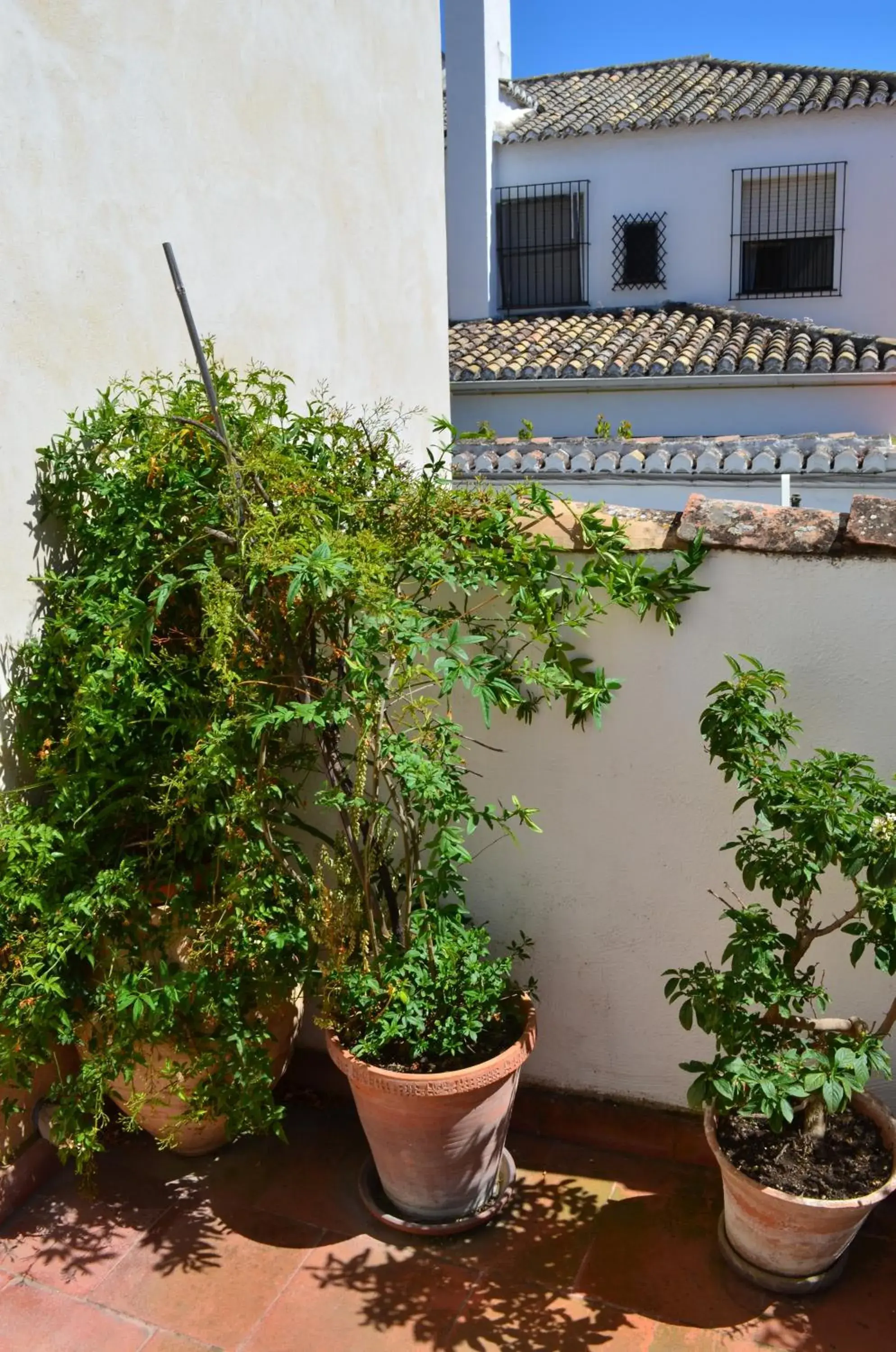 Balcony/Terrace in Hotel Santa Isabel La Real