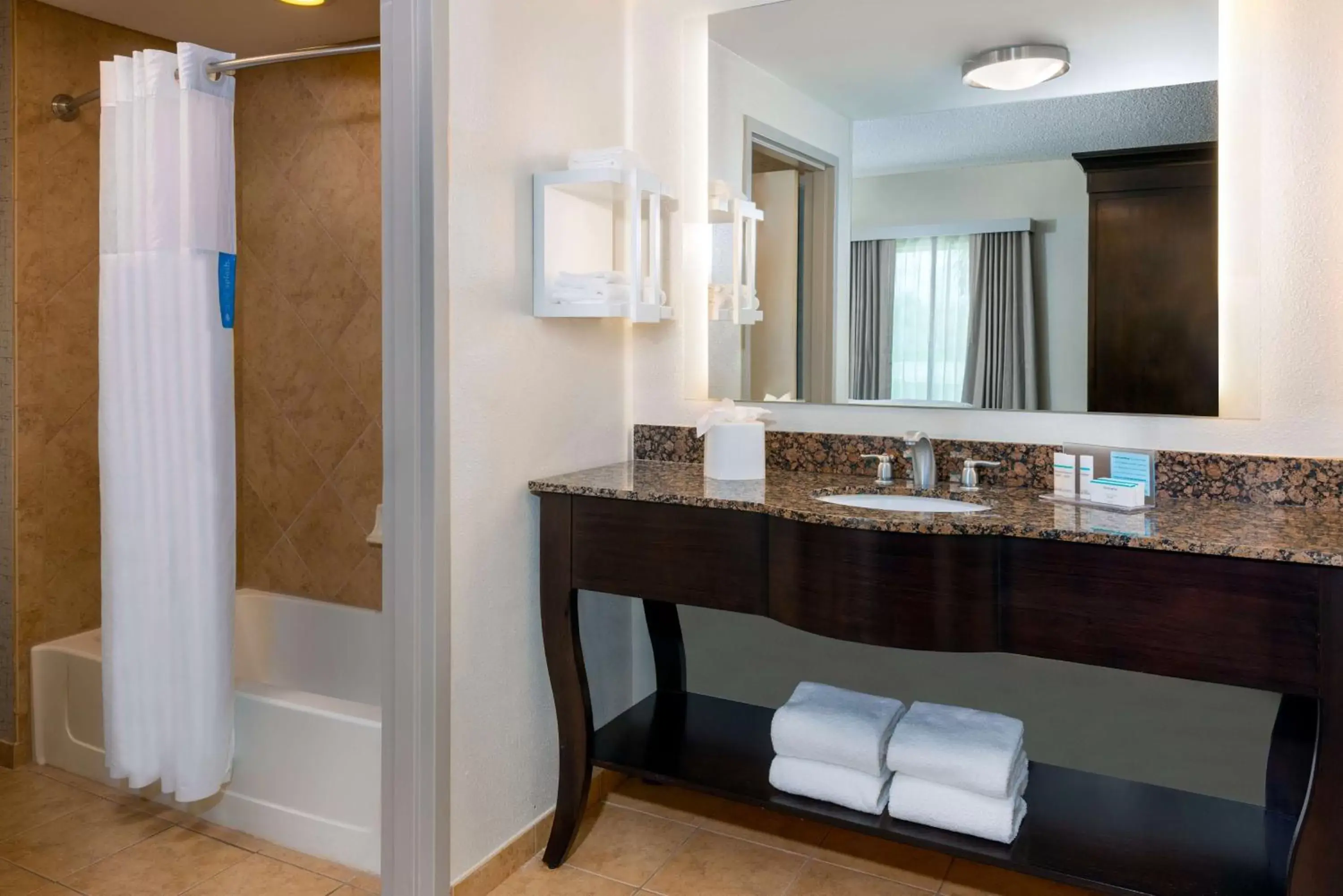 Bathroom in Hampton Inn and Suites Sarasota/Lakewood Ranch