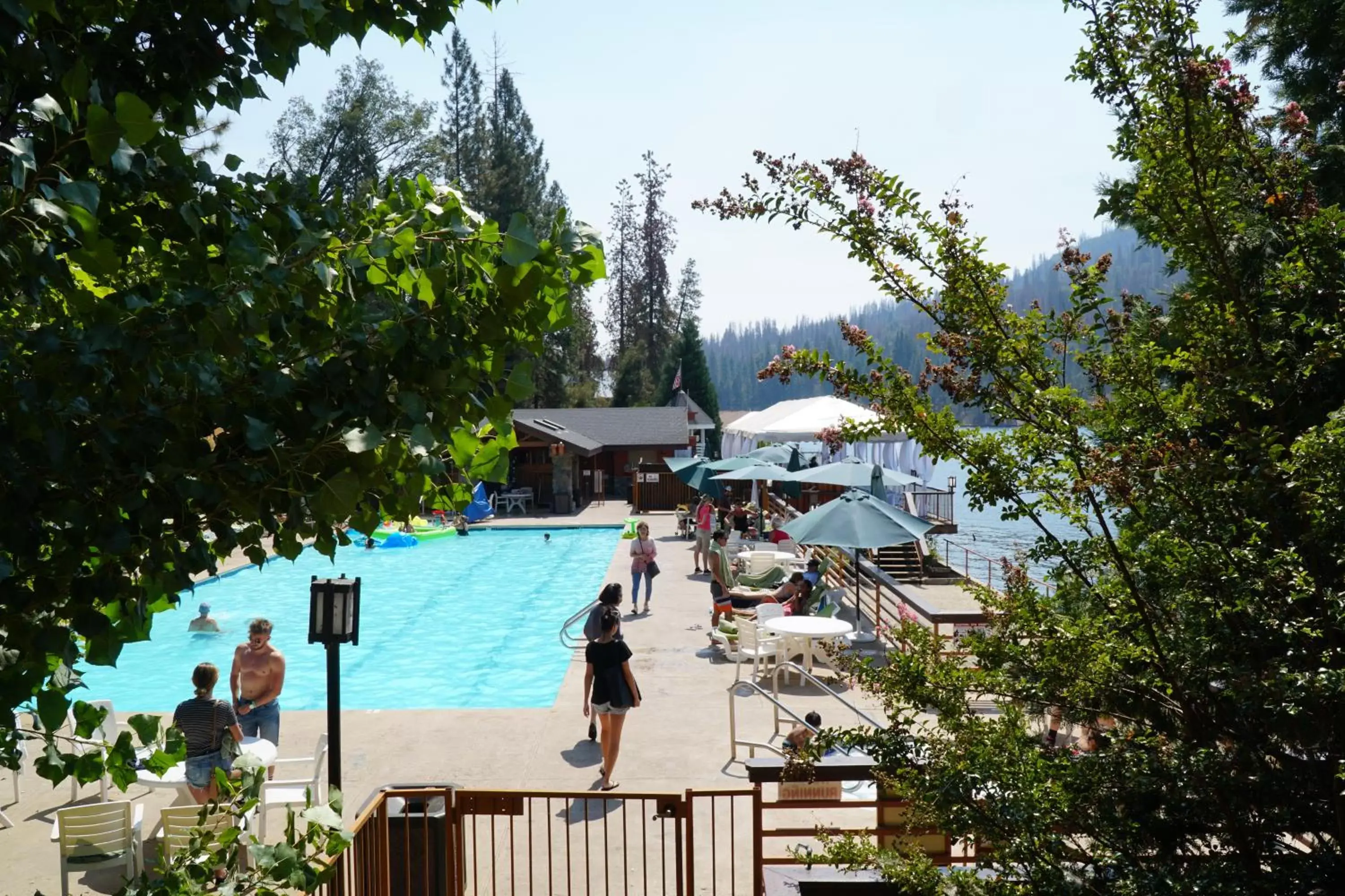 Pool View in The Pines Resort & Conference Center