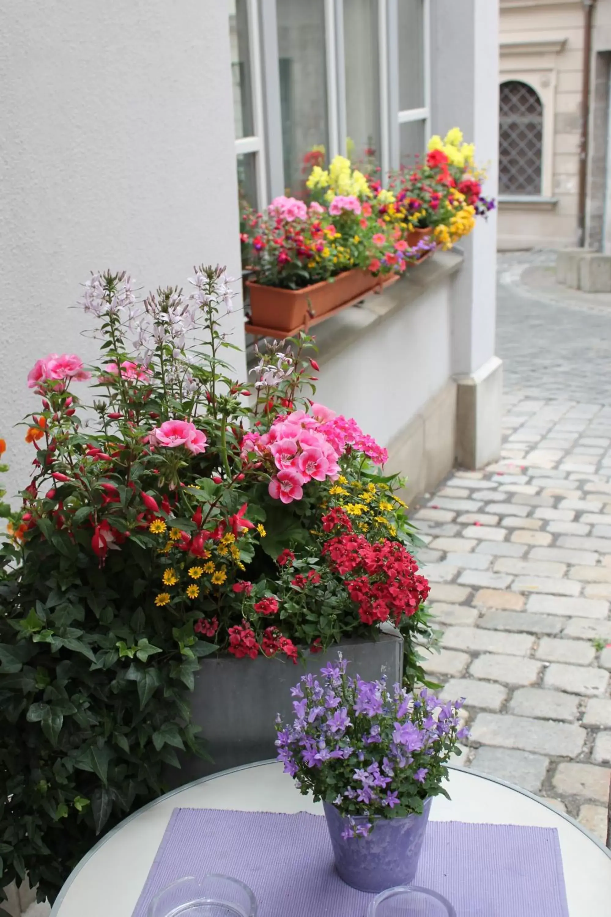 Area and facilities in Hotel am Rathaus