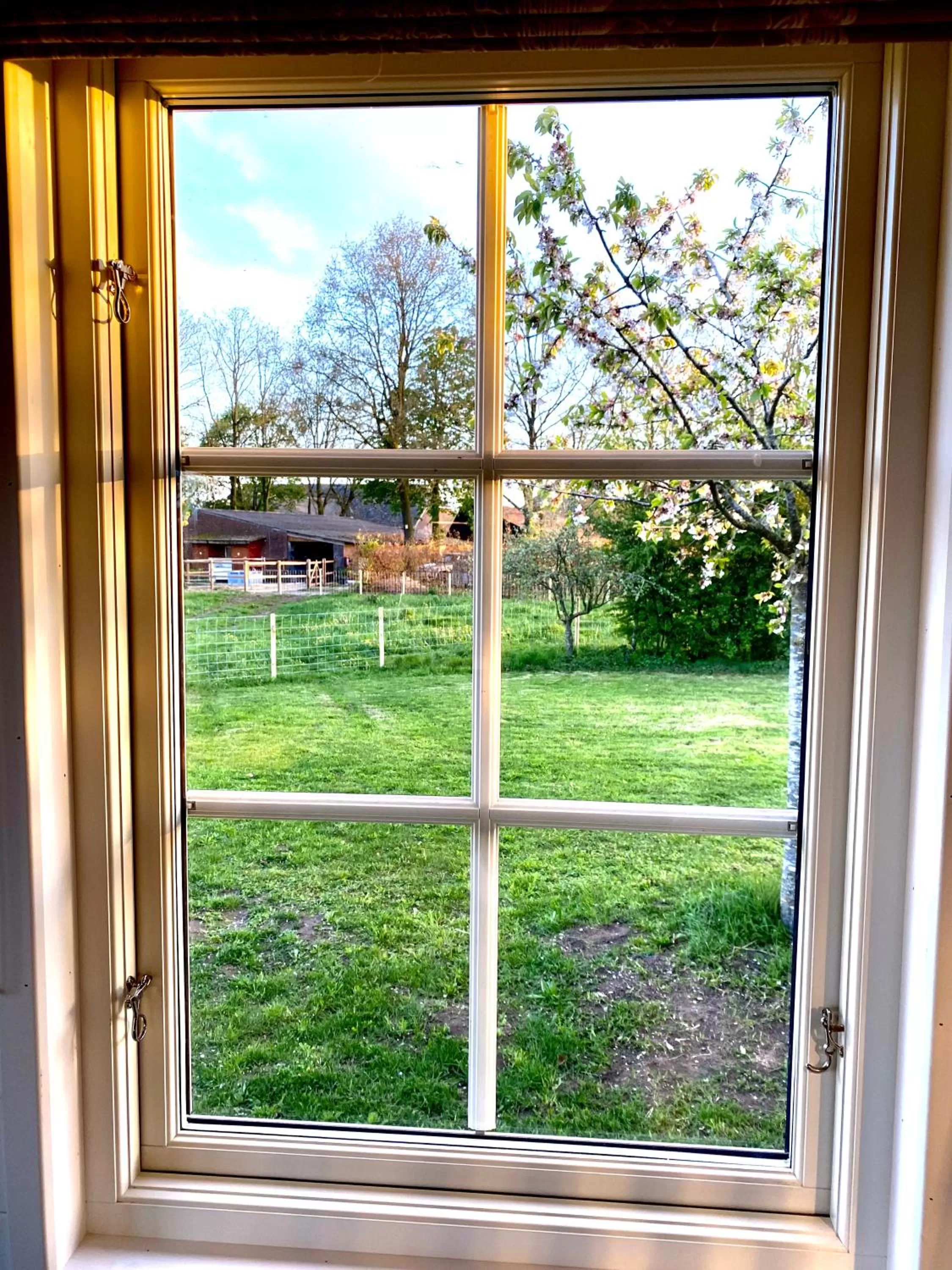 Natural landscape in De Heeren Hoeve Carpe Diem