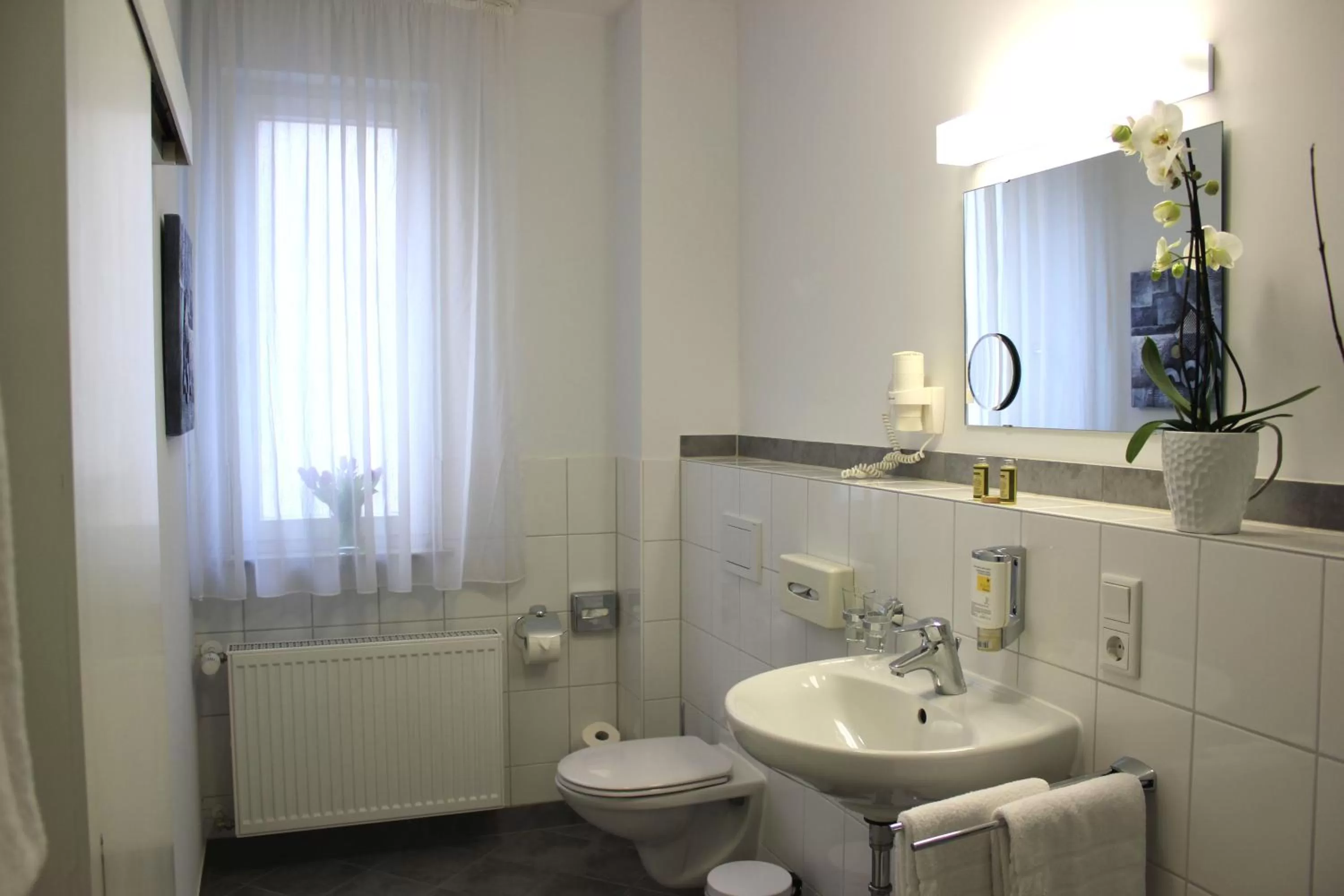 Toilet in City Hotel Würzburg