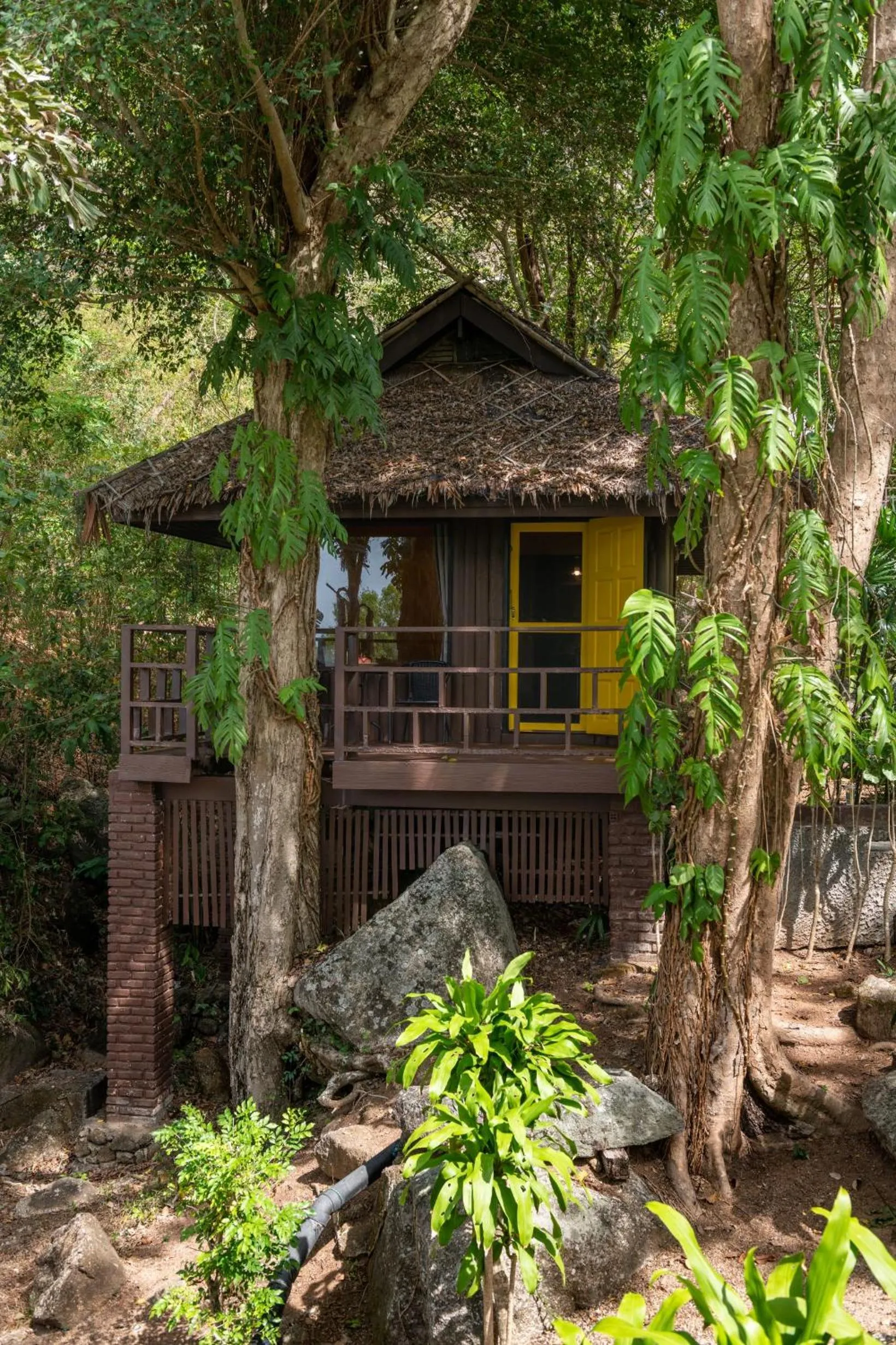 Natural landscape in Baan Krating Phuket Resort -SHA Plus