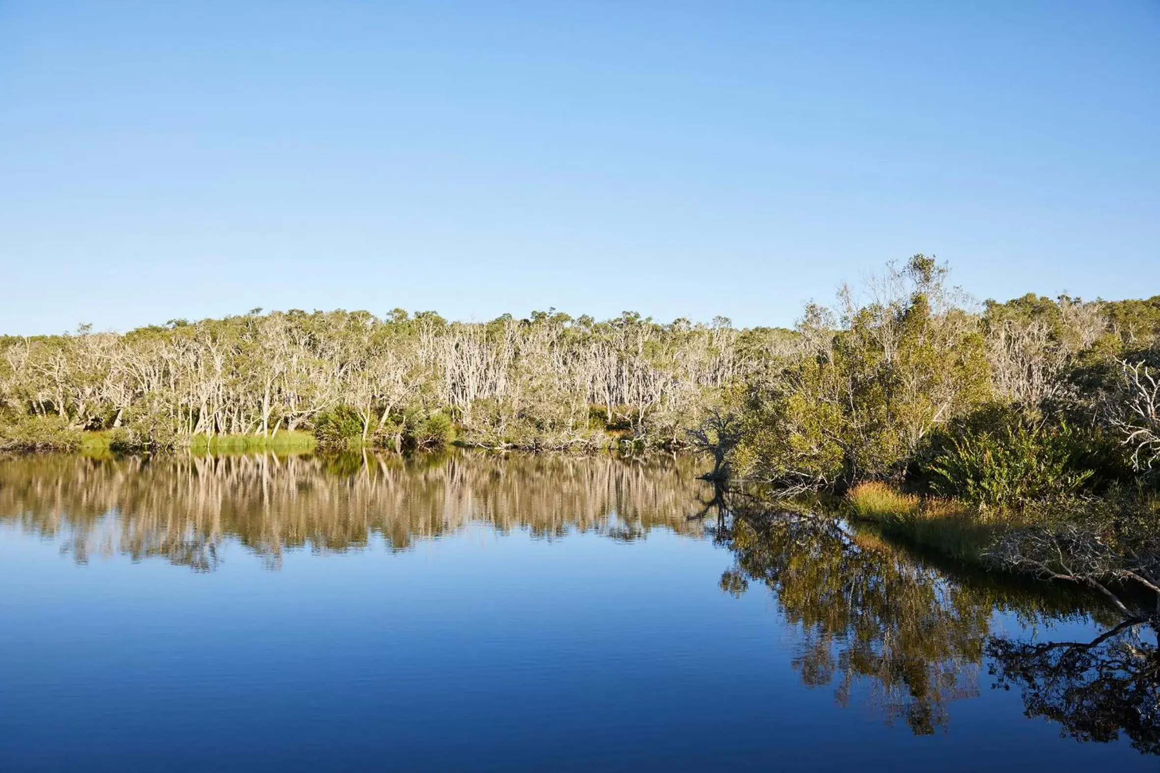 Lake view in Crystalbrook Byron