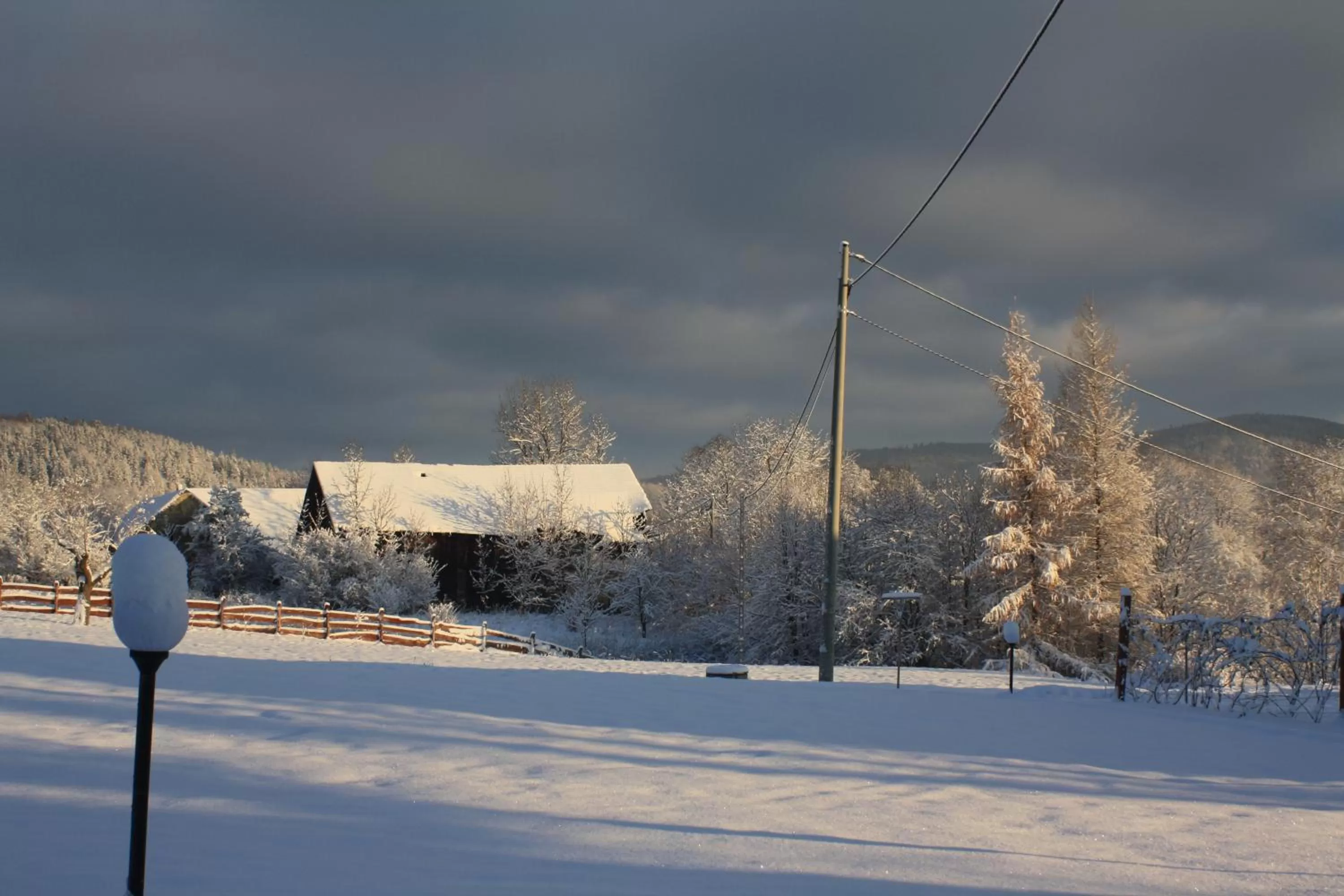 Garden view in Dom na Klonowym Wzgórzu