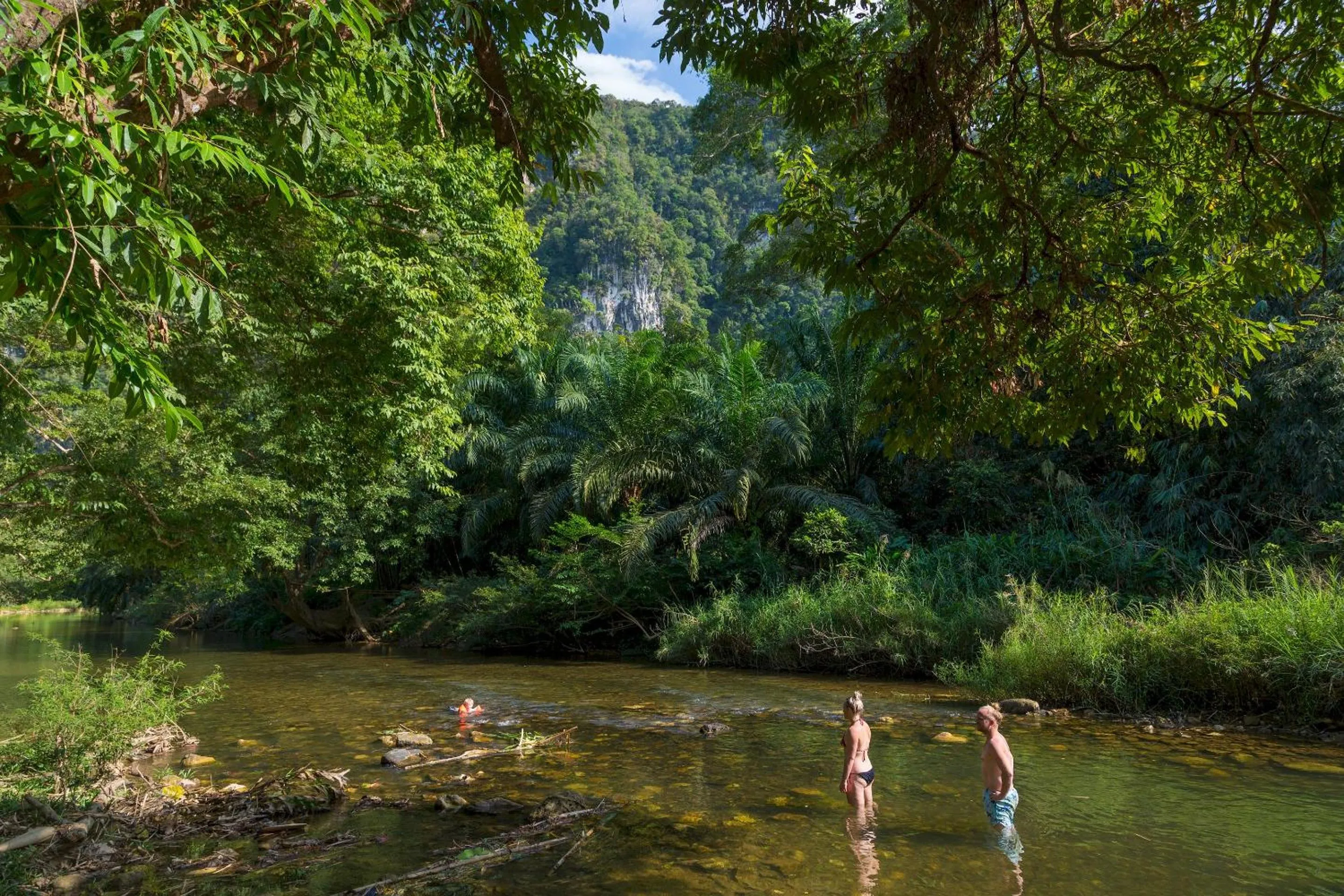 Day in Our Jungle Camp - Eco Resort