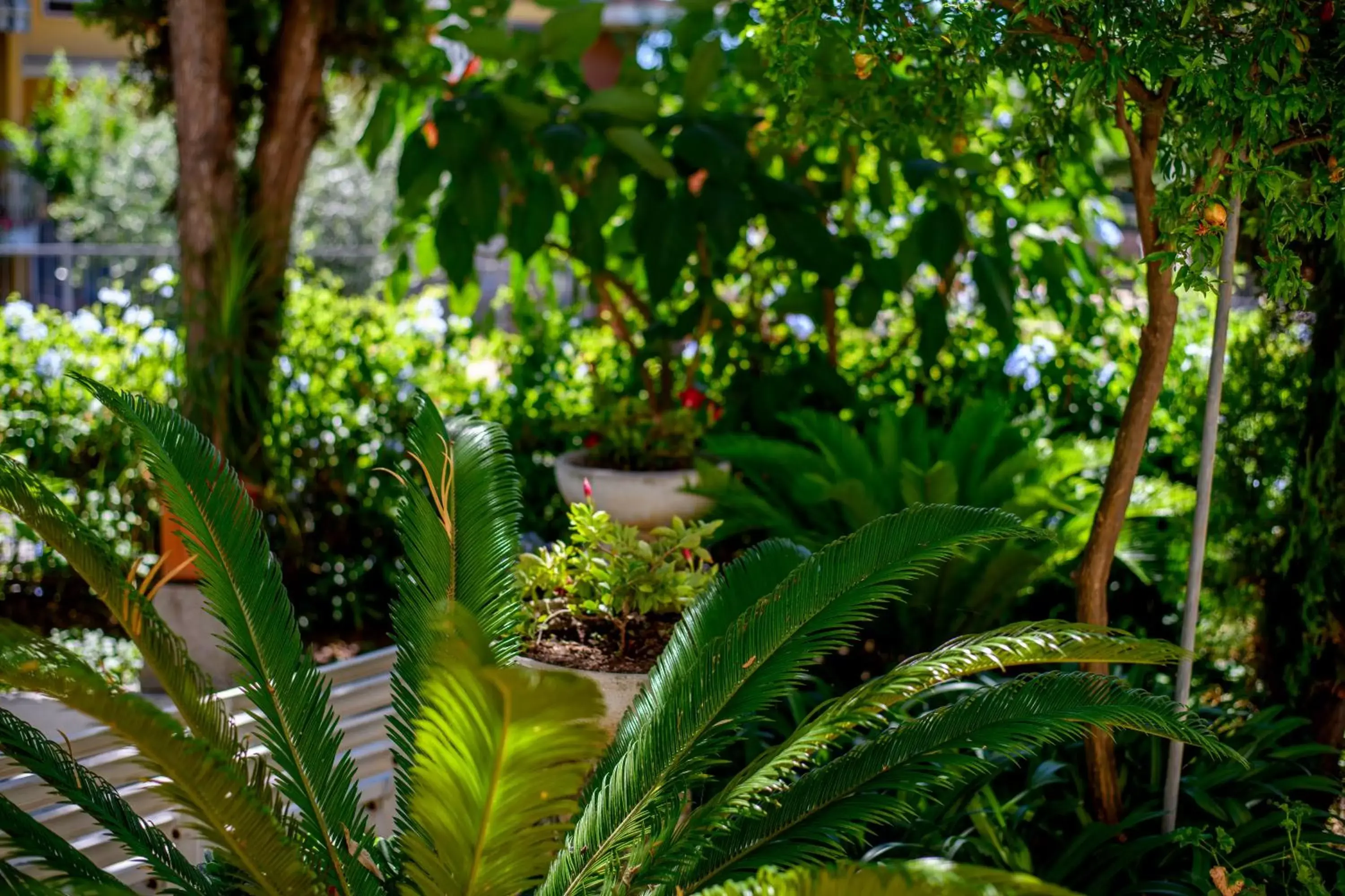 Garden in B&B La Fontanella