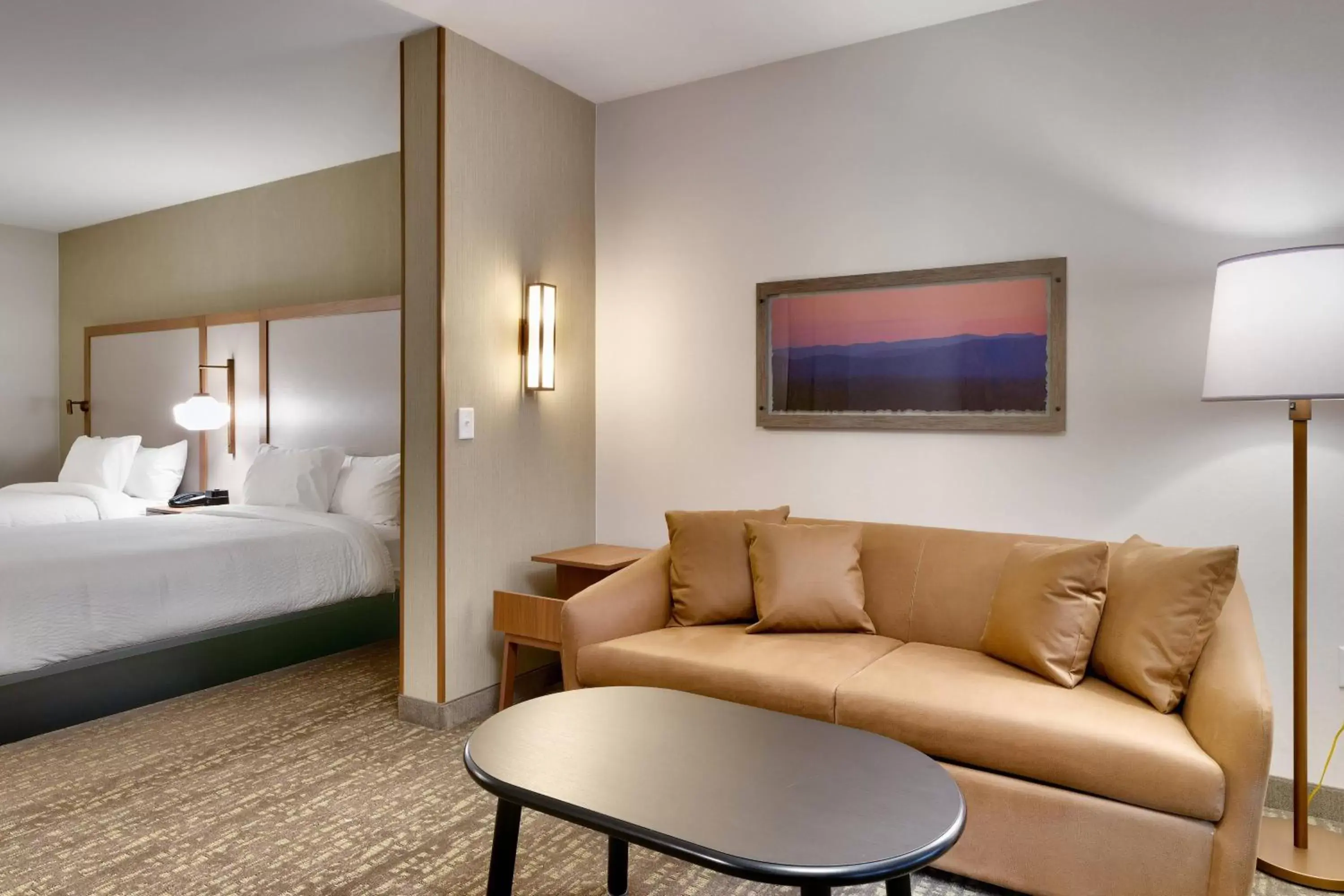 Living room in Fairfield Inn & Suites by Marriott Denver West/Federal Center